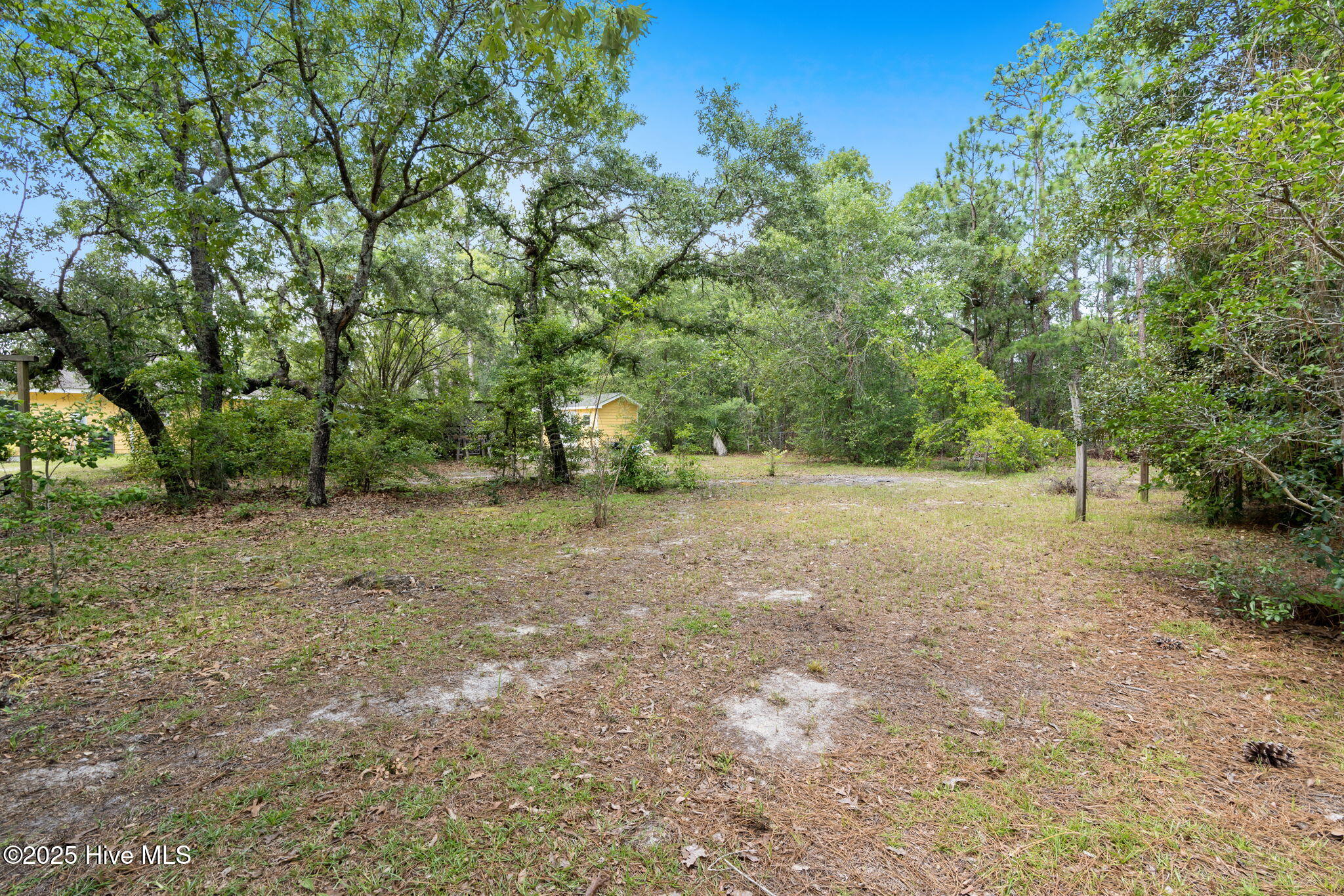 100551974 | Photo 43