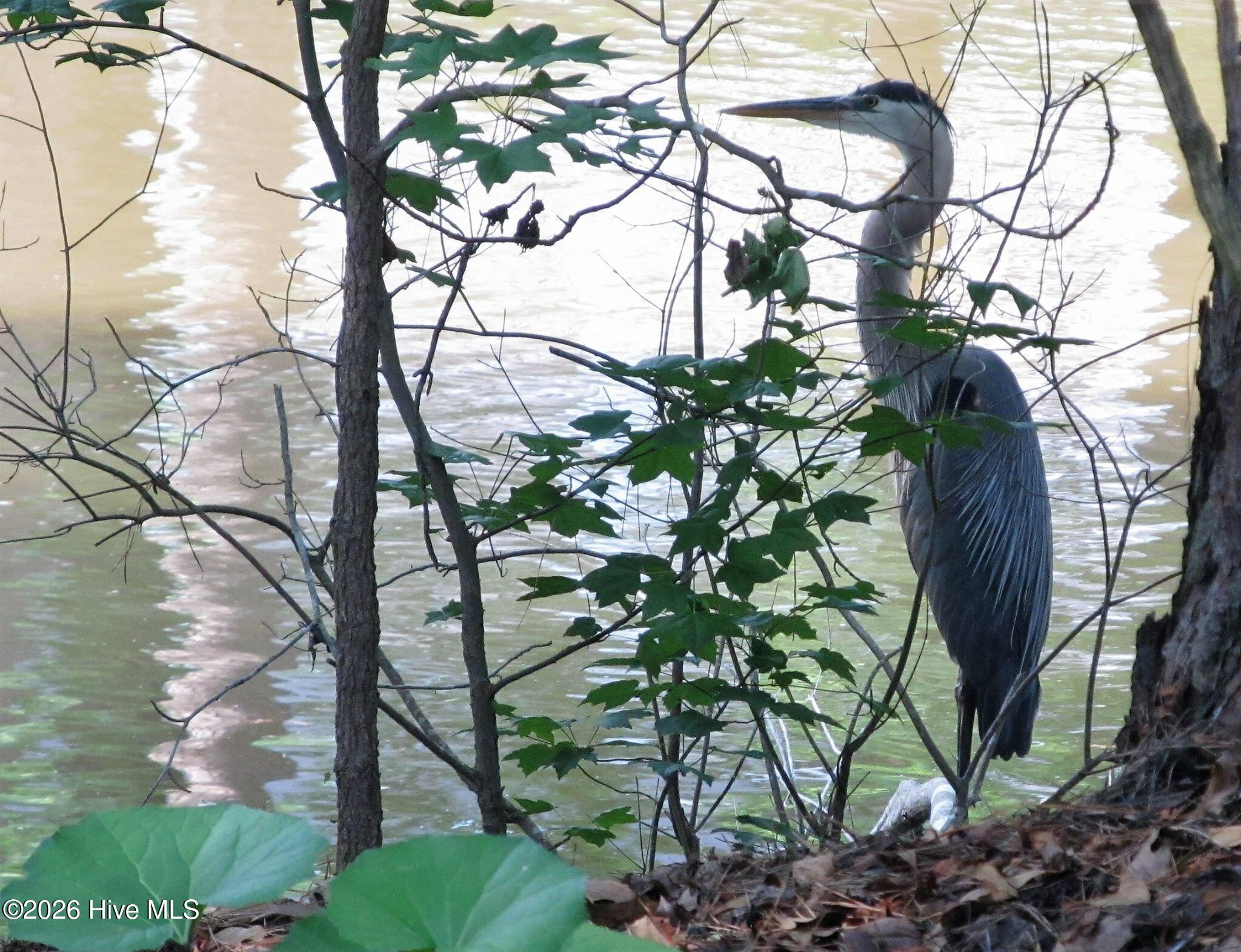 100564386 | Photo 85