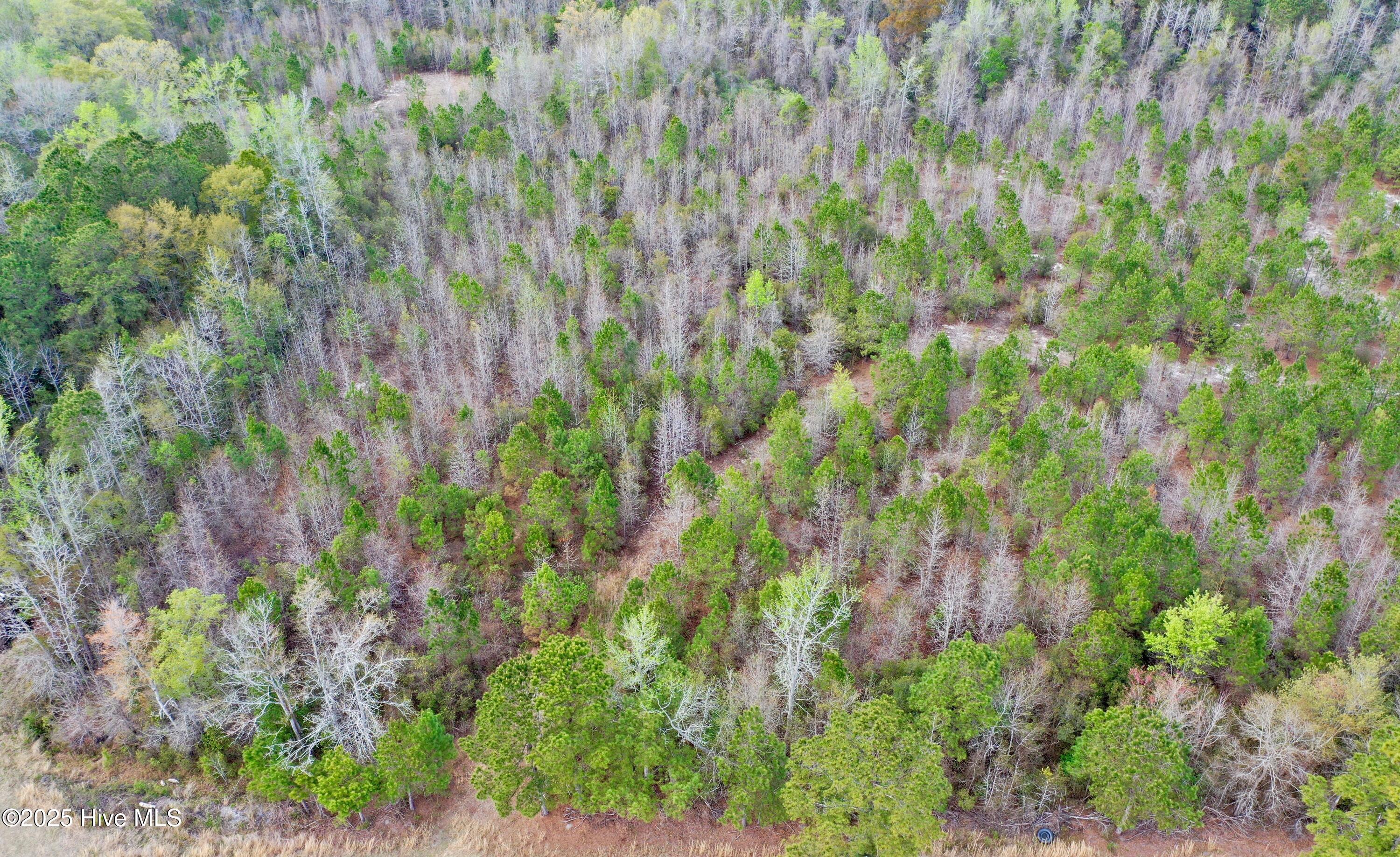 100498025 | Photo 11