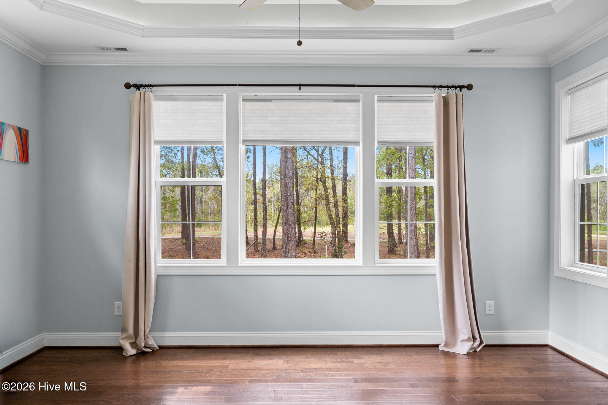 100566605 | Photo 24