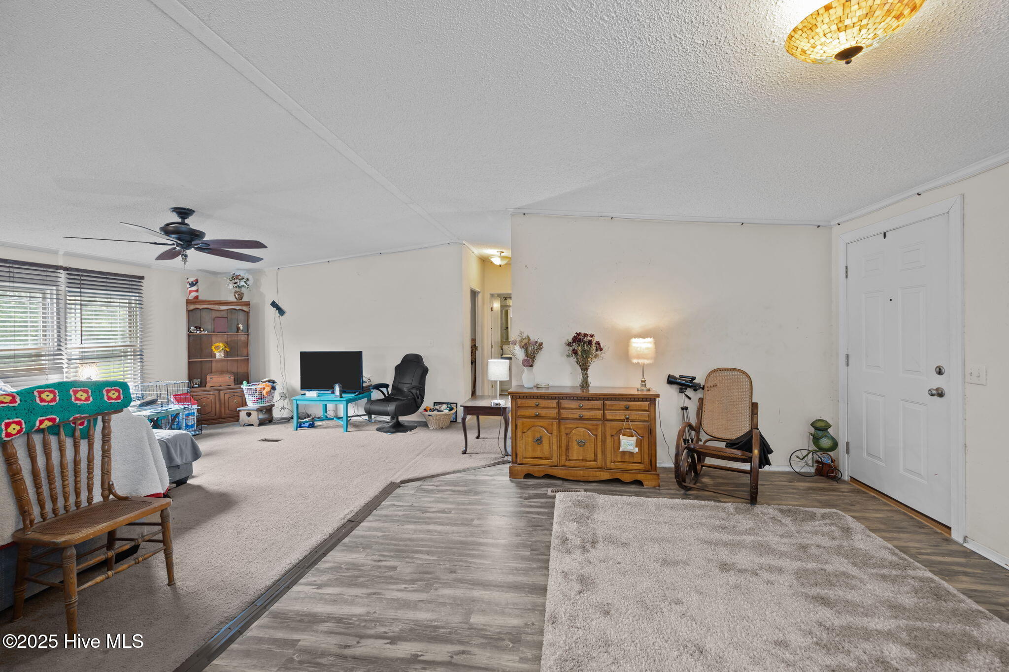 Entrance and Living Room