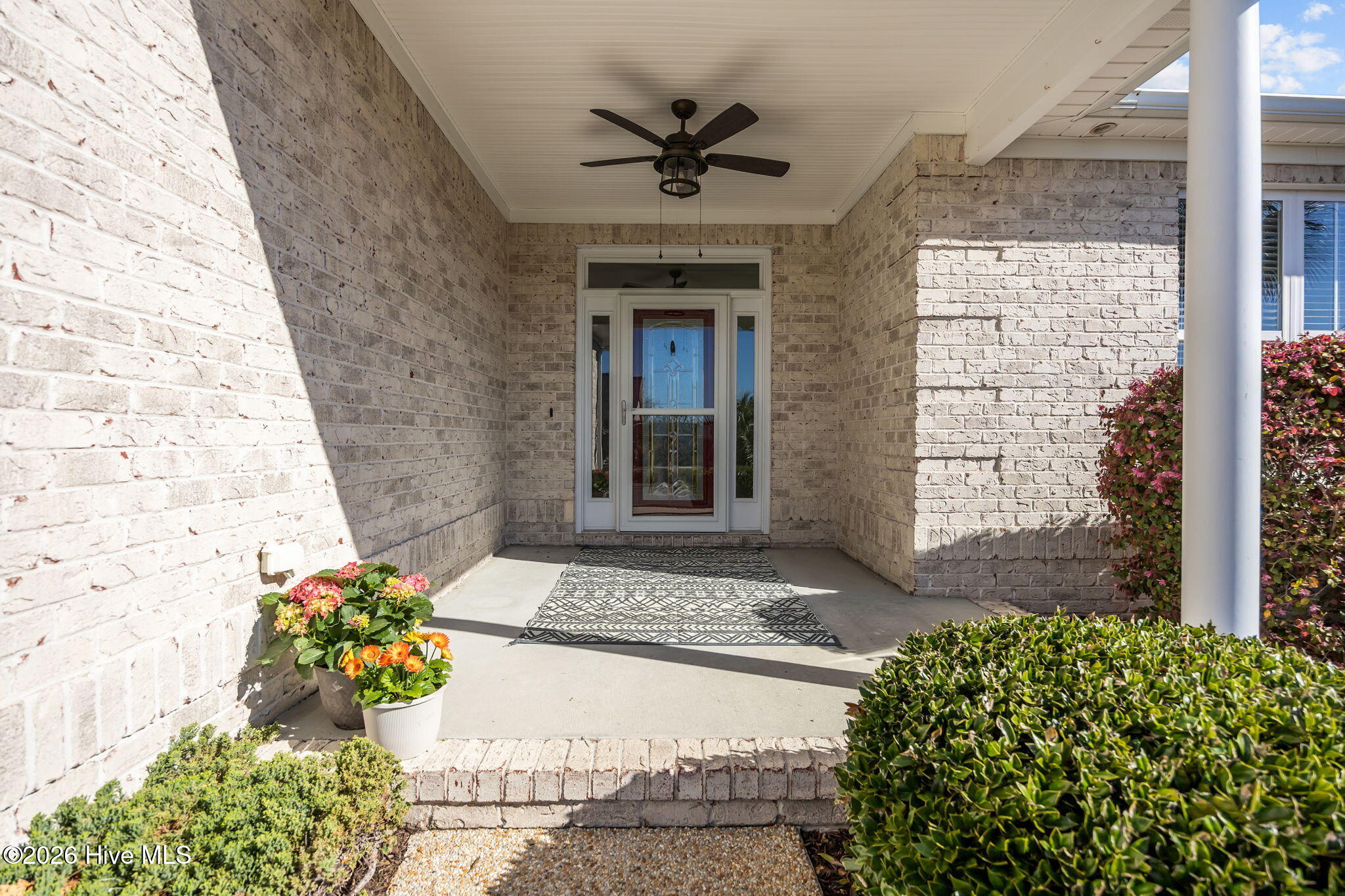 100561261 | Photo 15