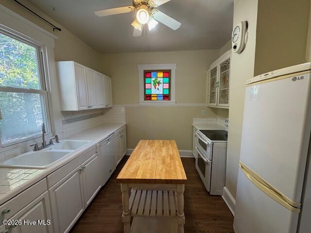 100547835 | Photo 10