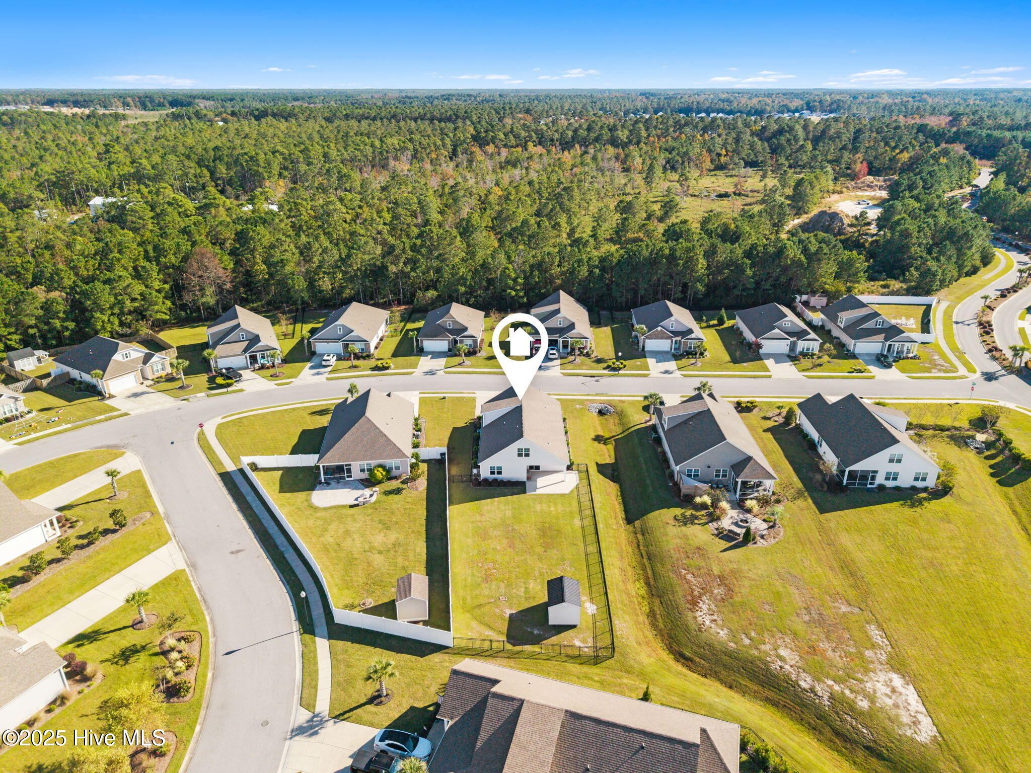 100538184 | Photo 58