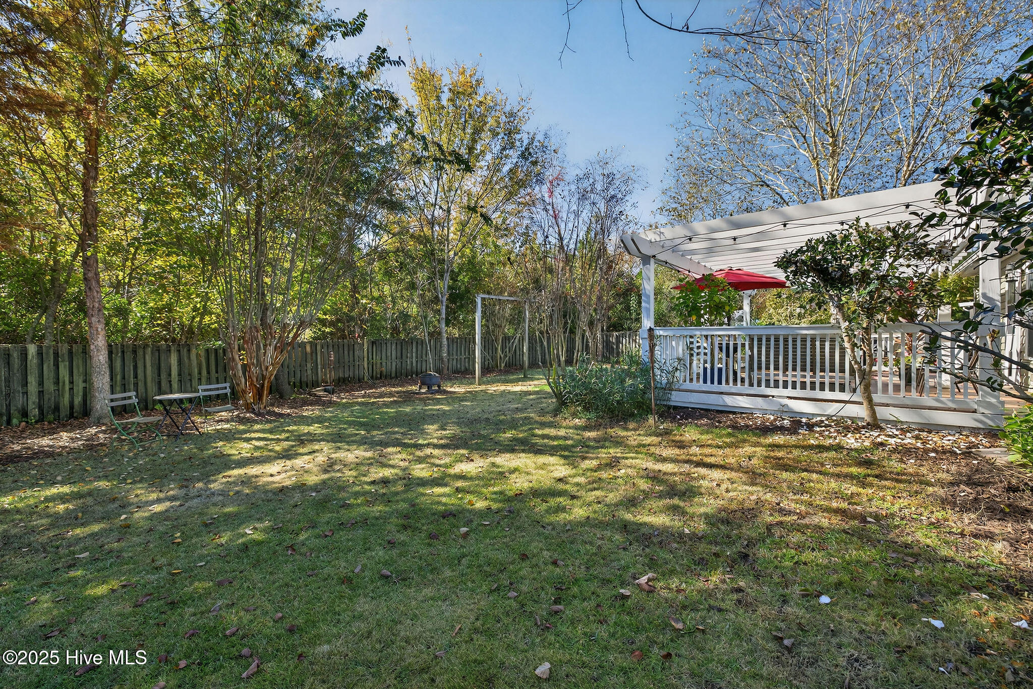 100539935 | Photo 39