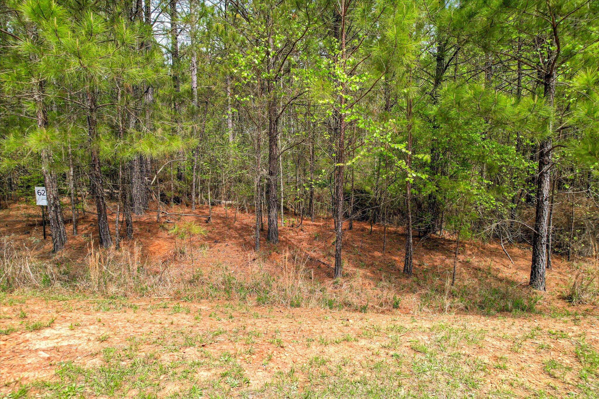 Lot 77 W Plainview Drive, Warrenton, GA, 30828
