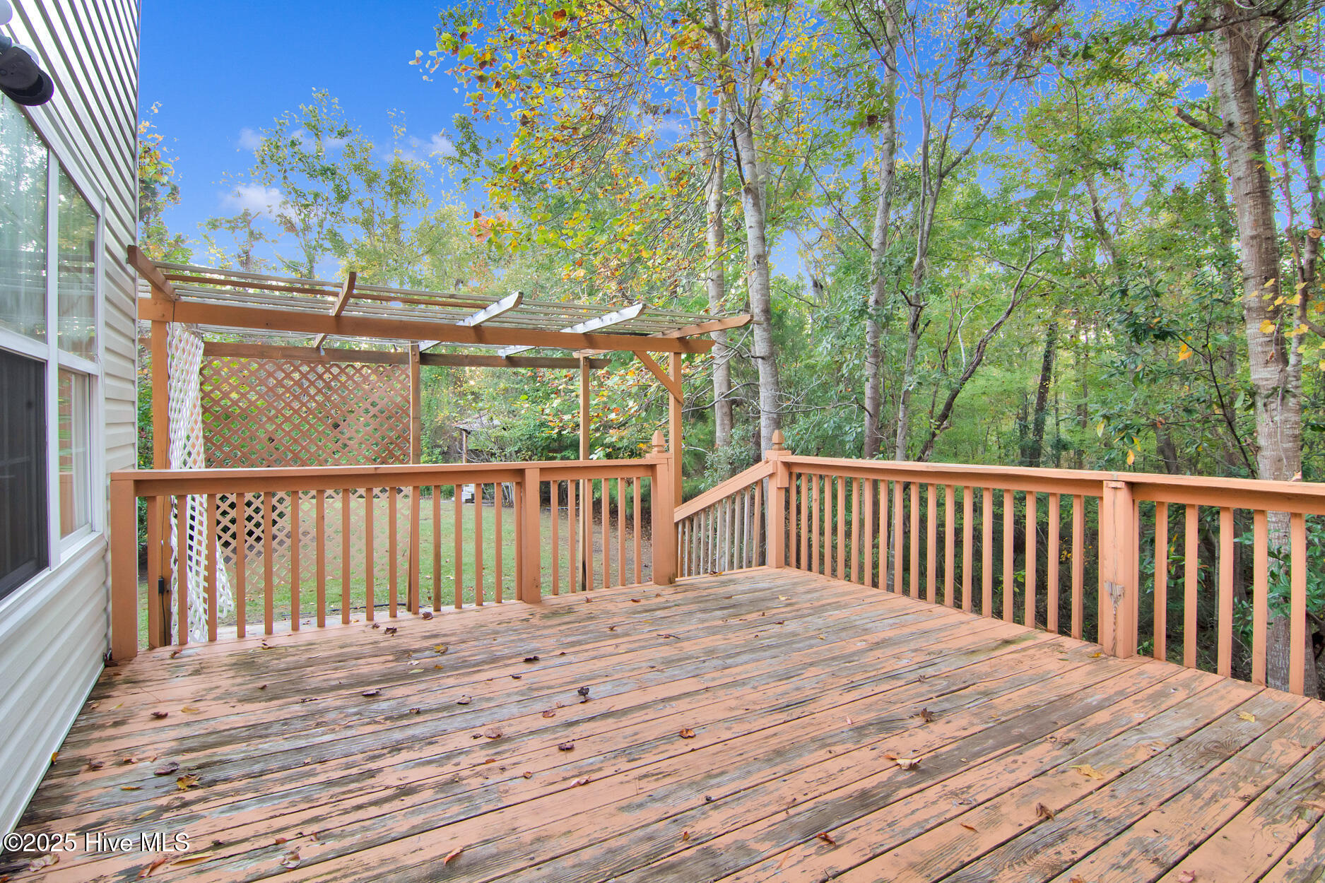 100539589 | Photo 32