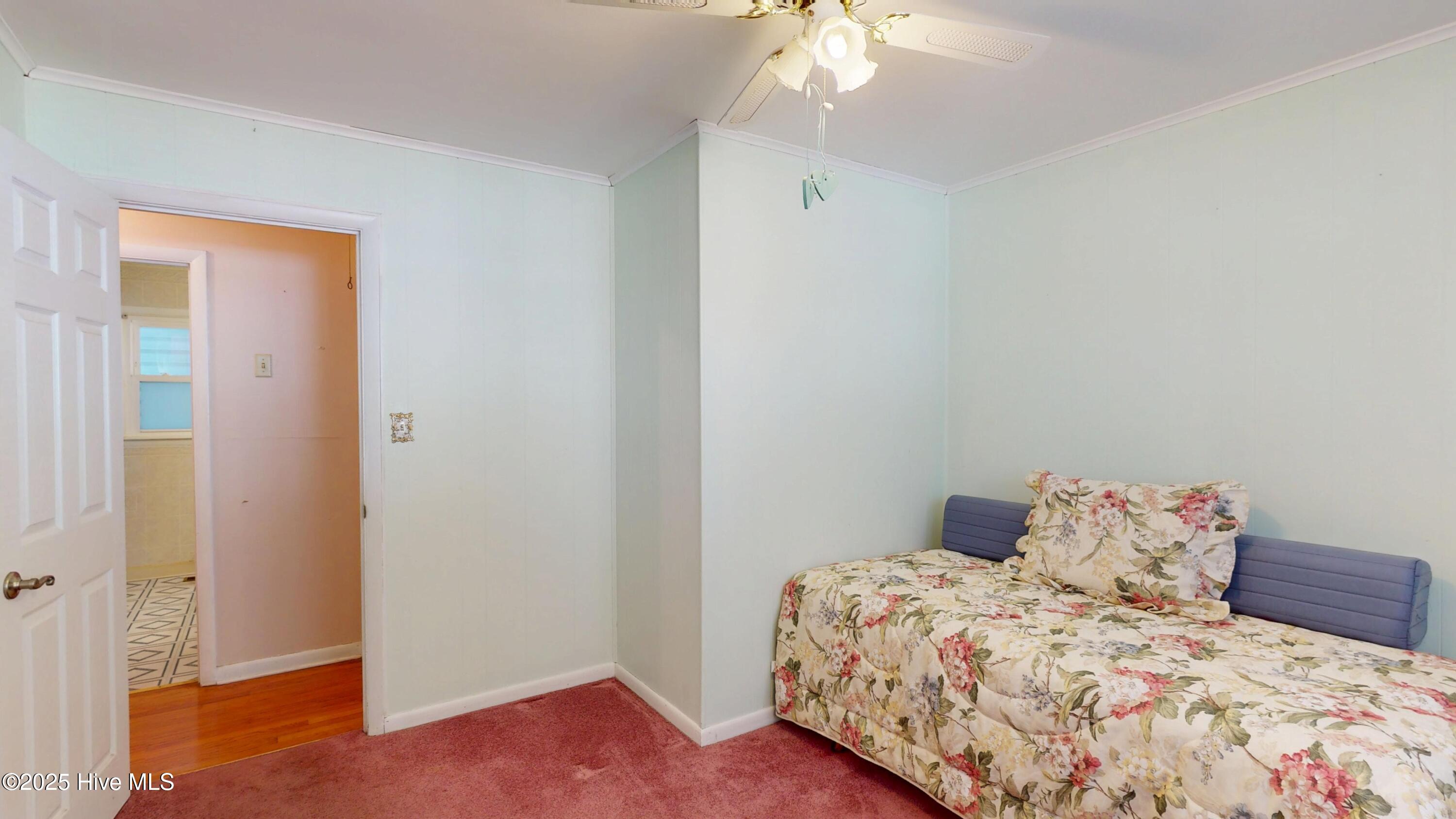 100541528 | Photo 21