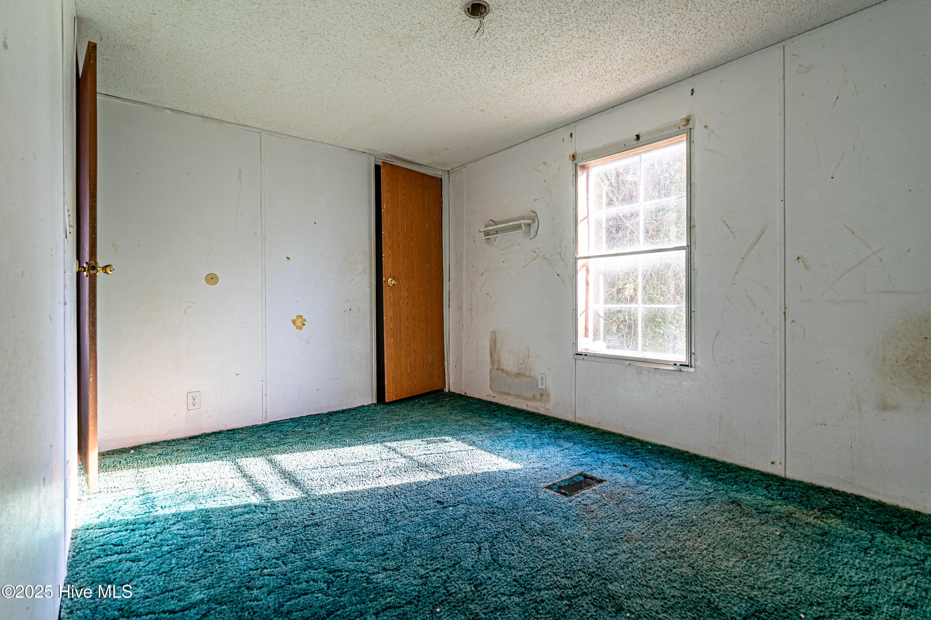 100545698 | Photo 10