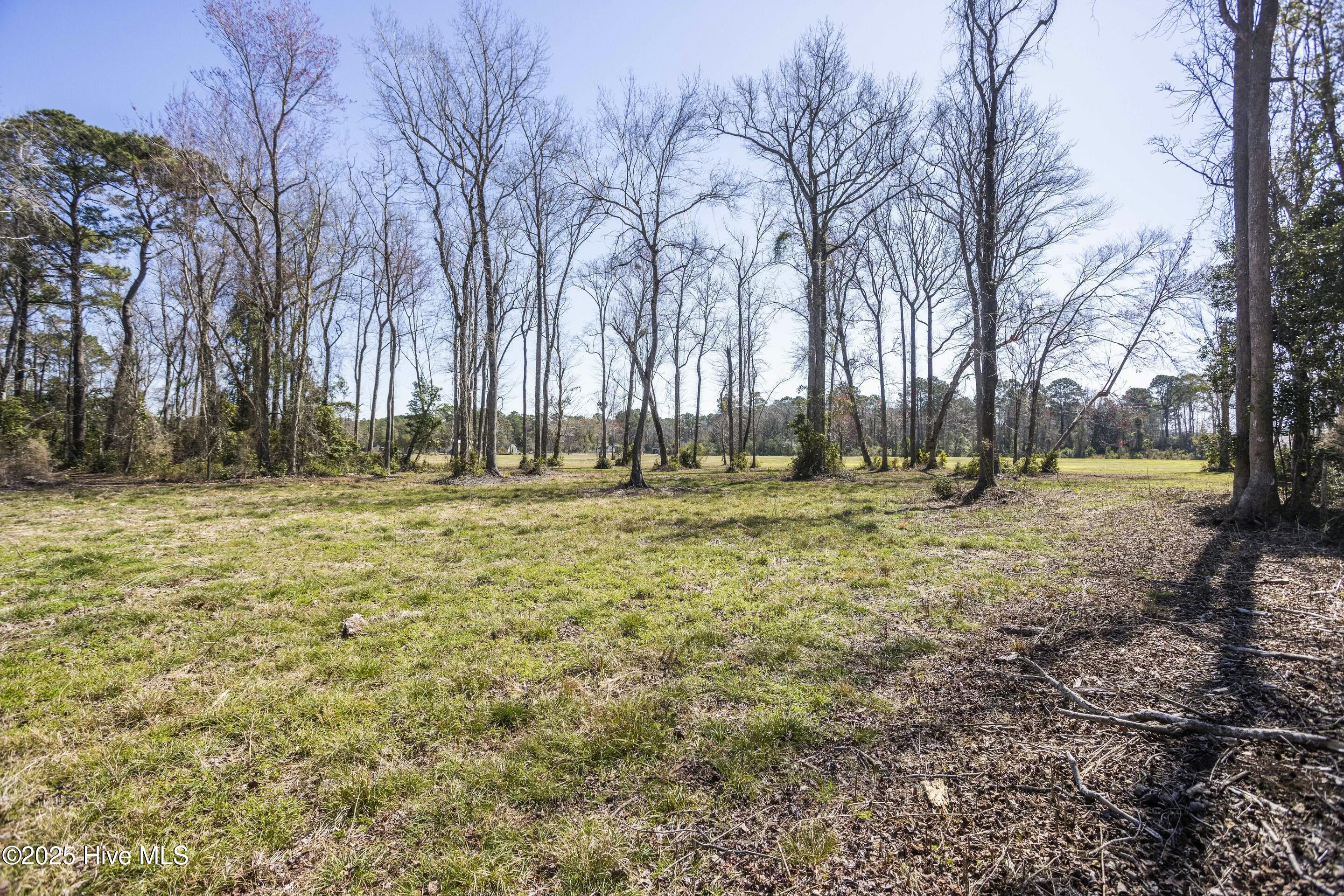 100495483 | Photo 28