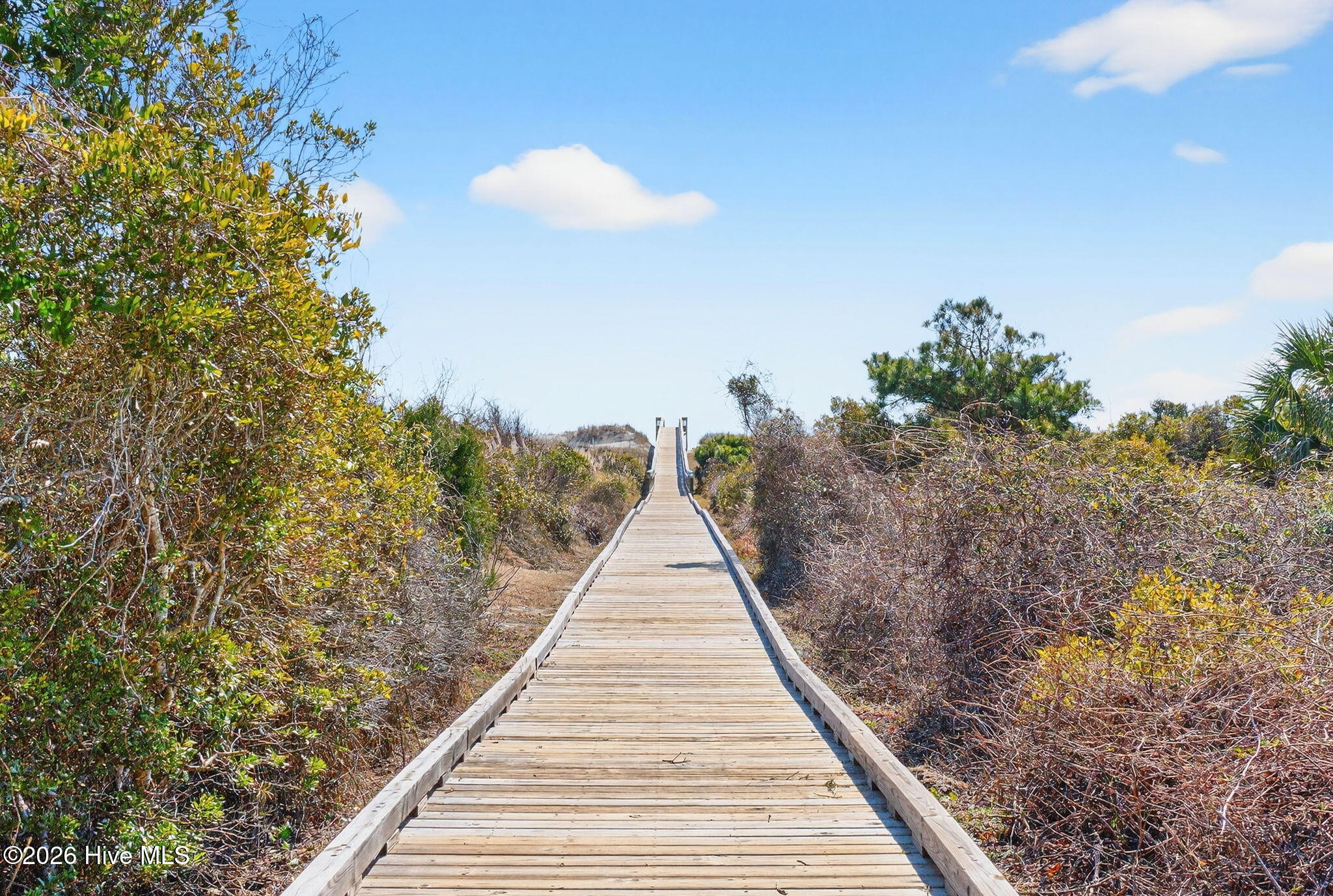 100554629 | Photo 44