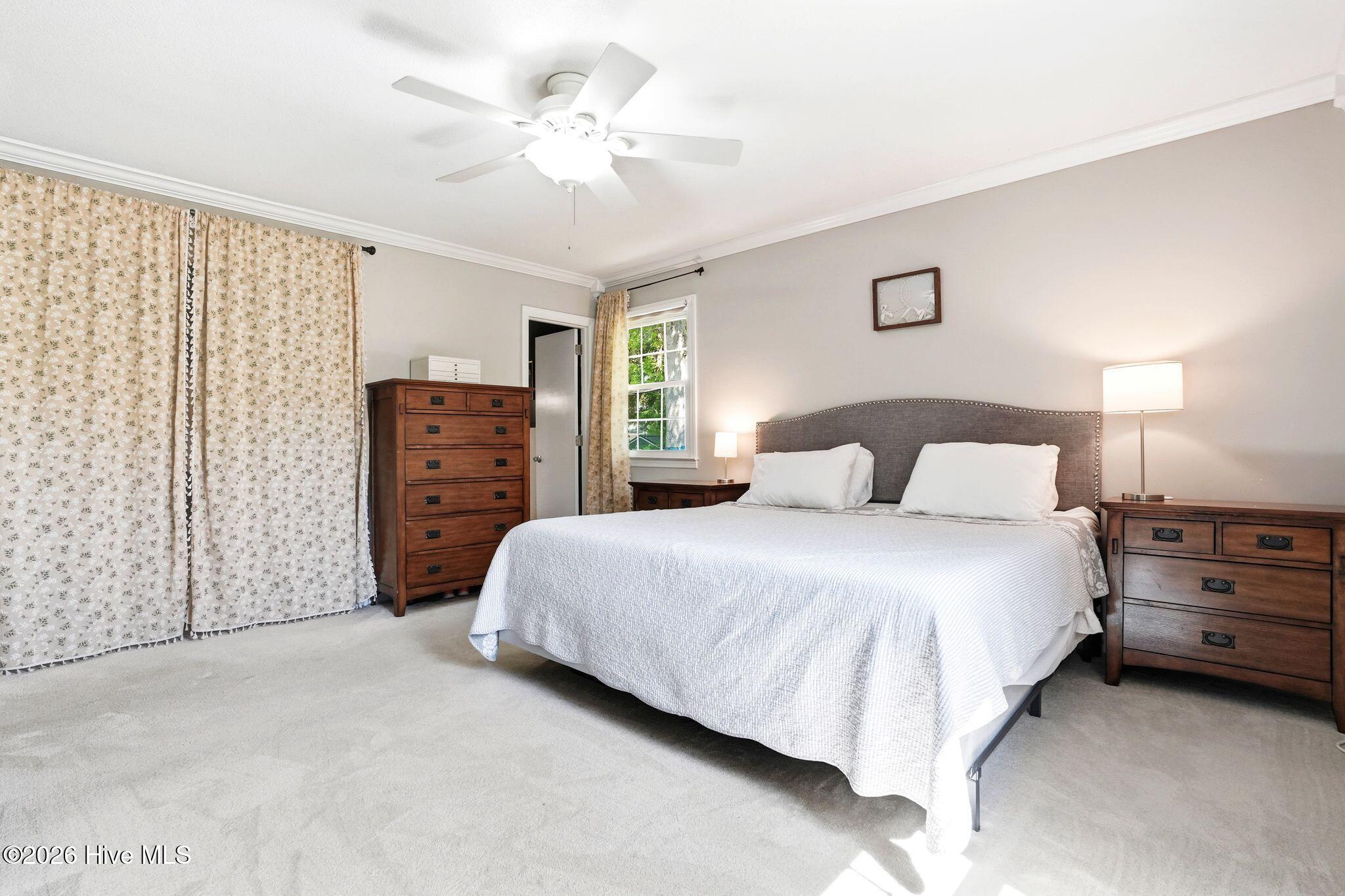 100568648 | Photo 40