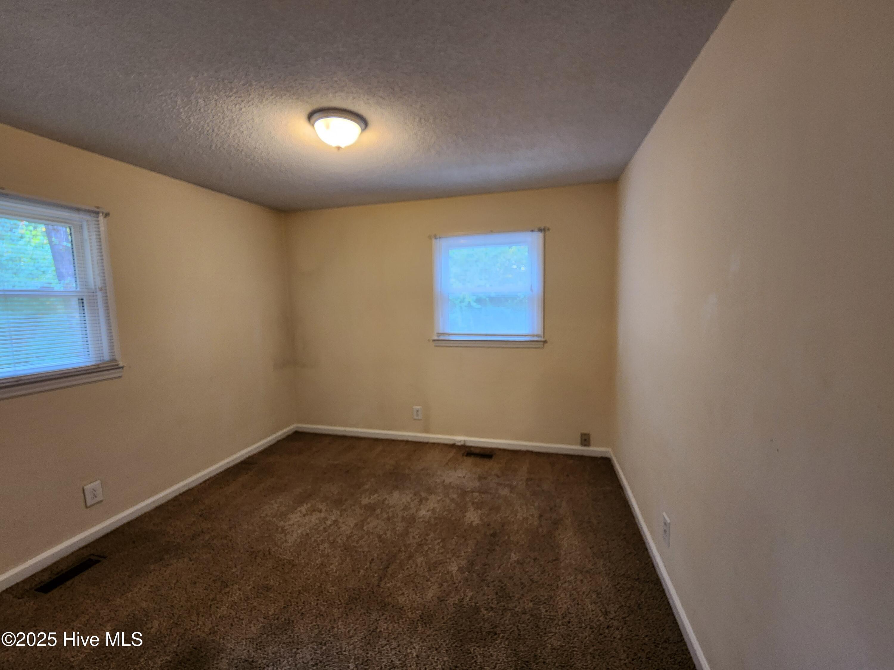 100524755 | Photo 12