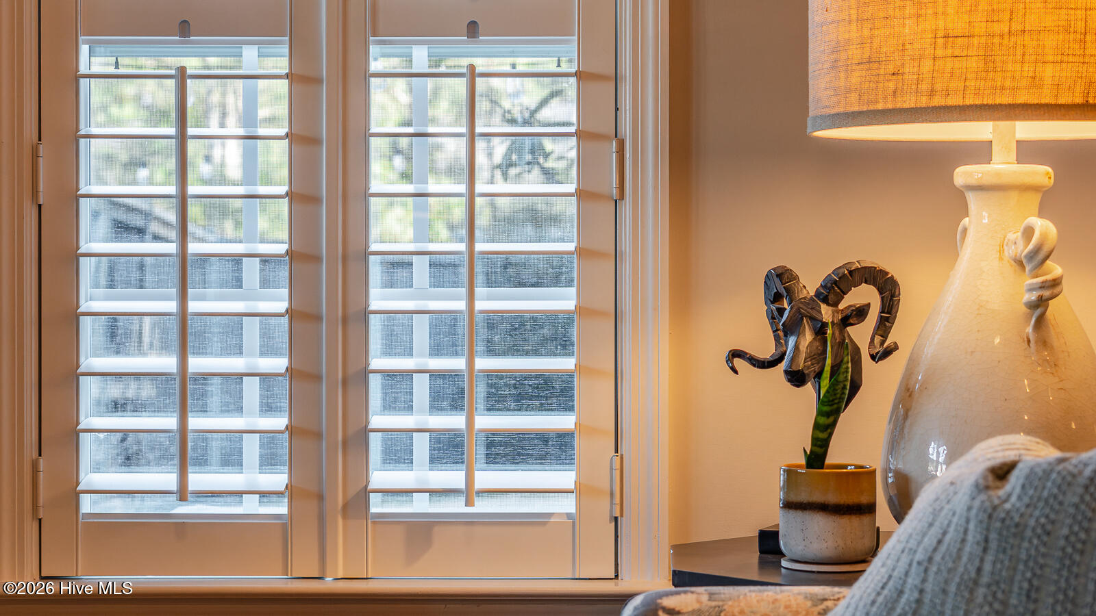 100558017 | Photo 25