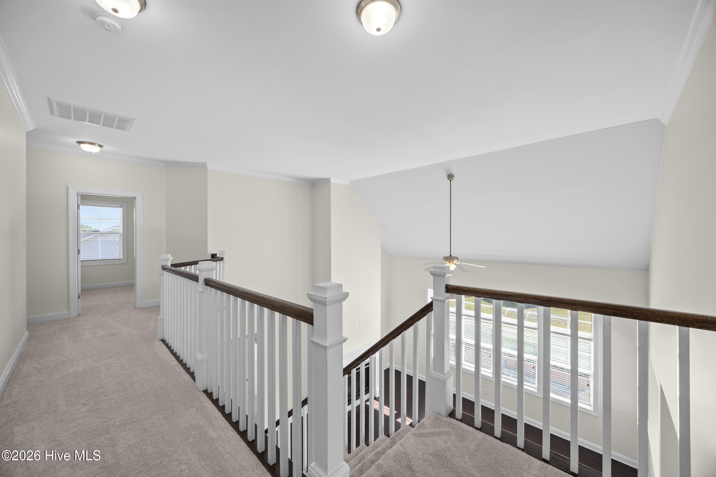 100568241 | Photo 39