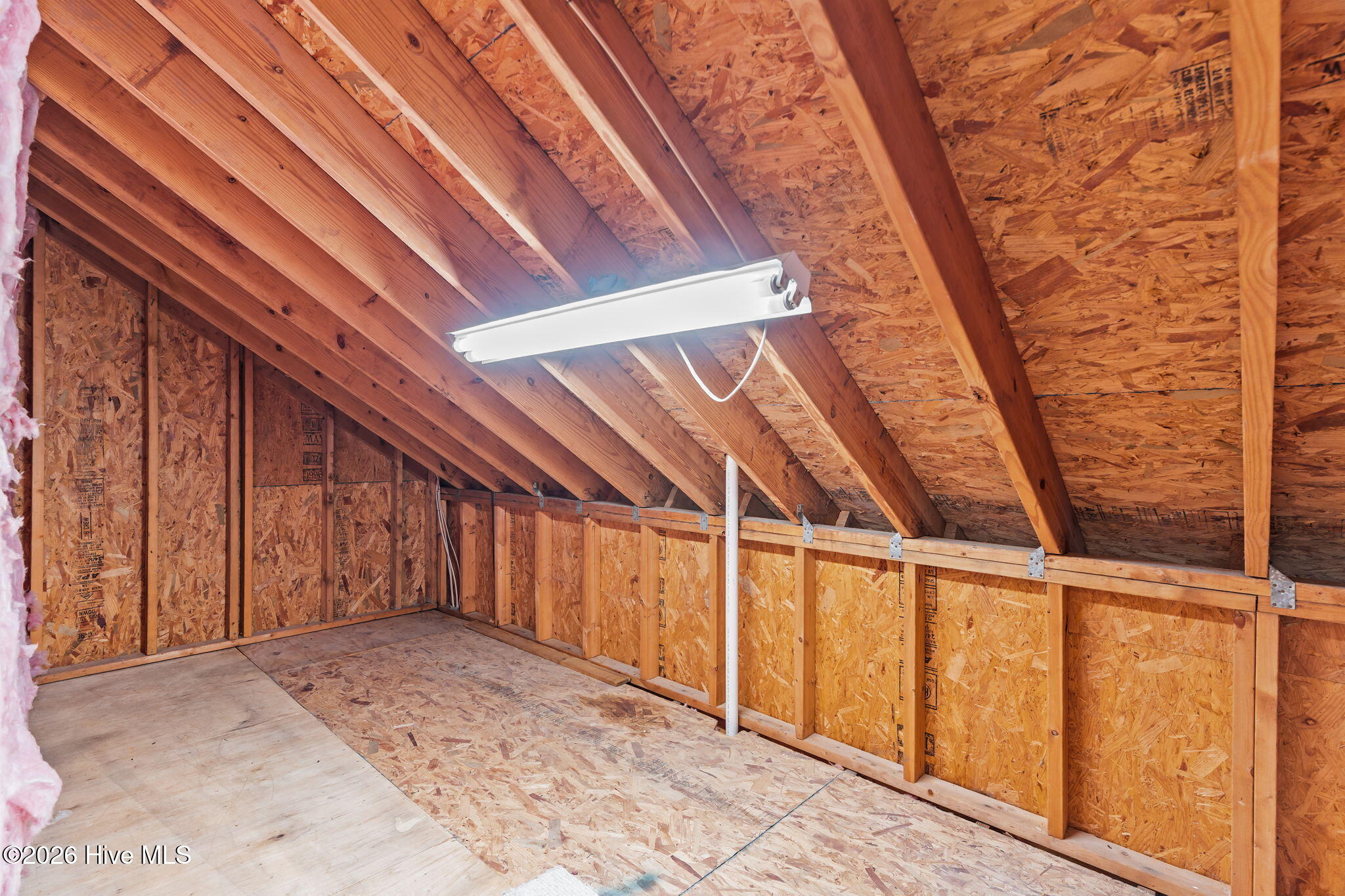 100562796 | Photo 32