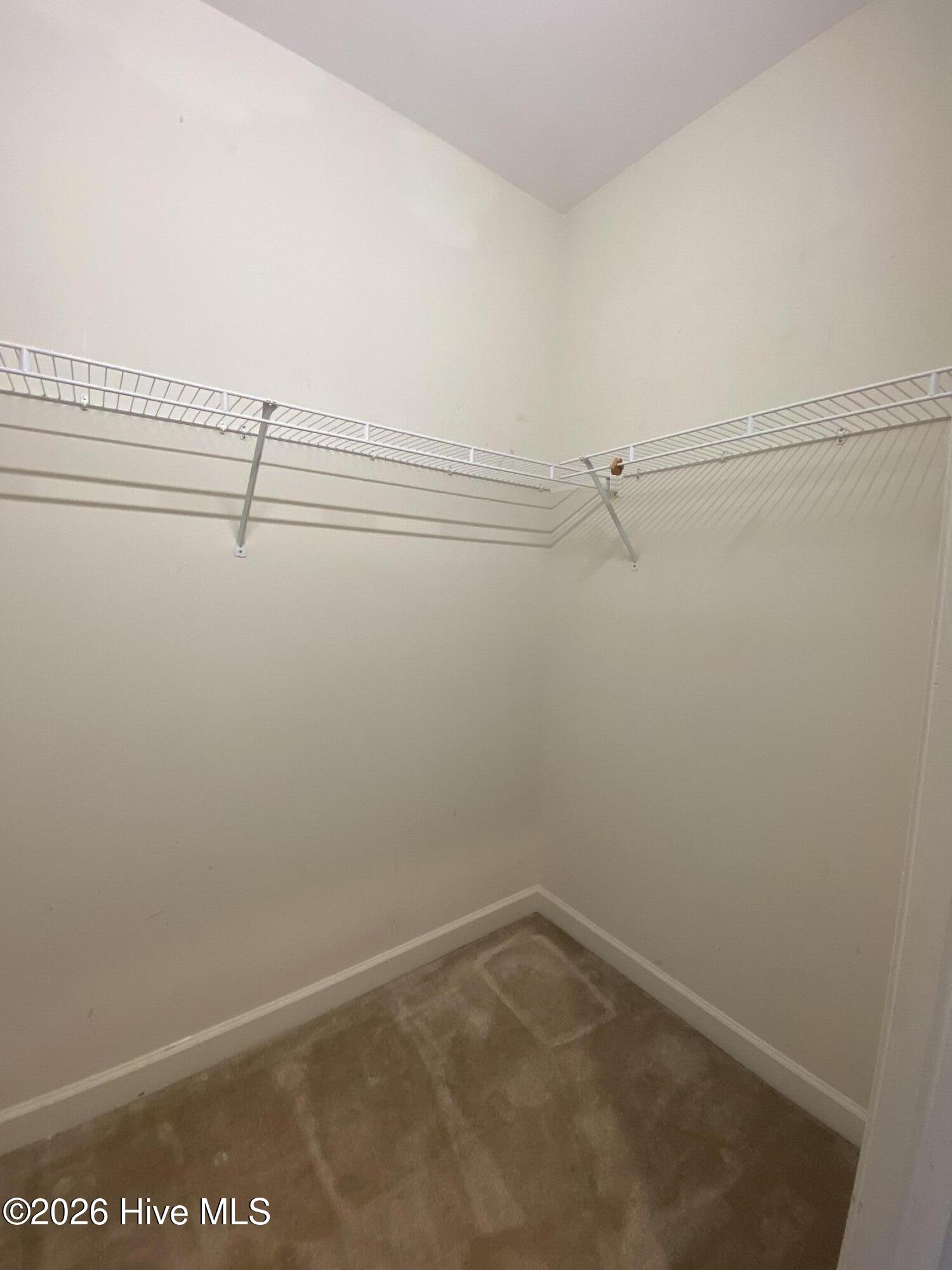 100549389 | Photo 19