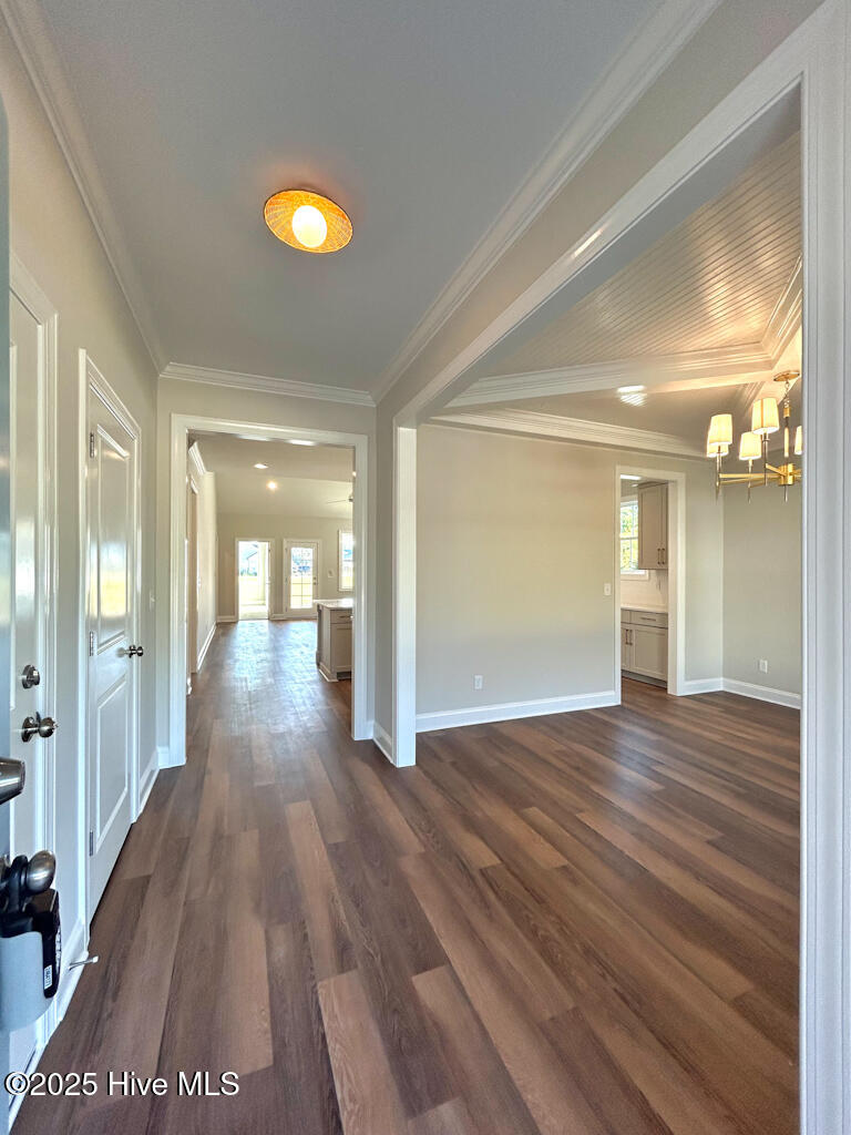 100510187 | Photo 16