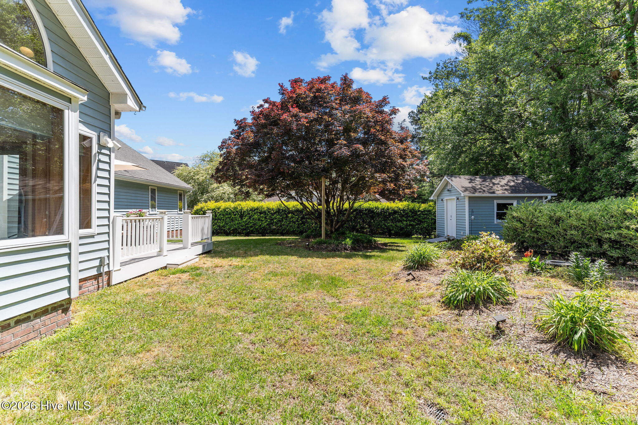 100568995 | Photo 38