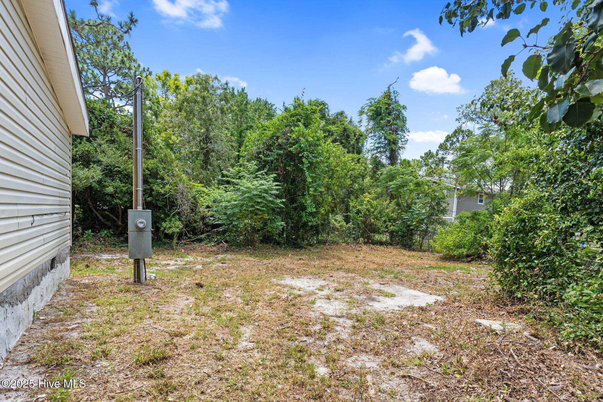 100514432 | Photo 30