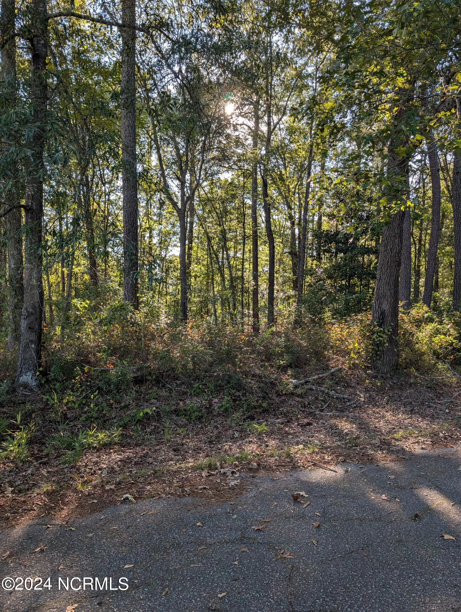 .32 acres of undeveloped land. Beautifully nestled at the corner of Leggett St and Dell St. Great location for a single family home with yard space to spare. Buyer to confirm schools based on recent merger.