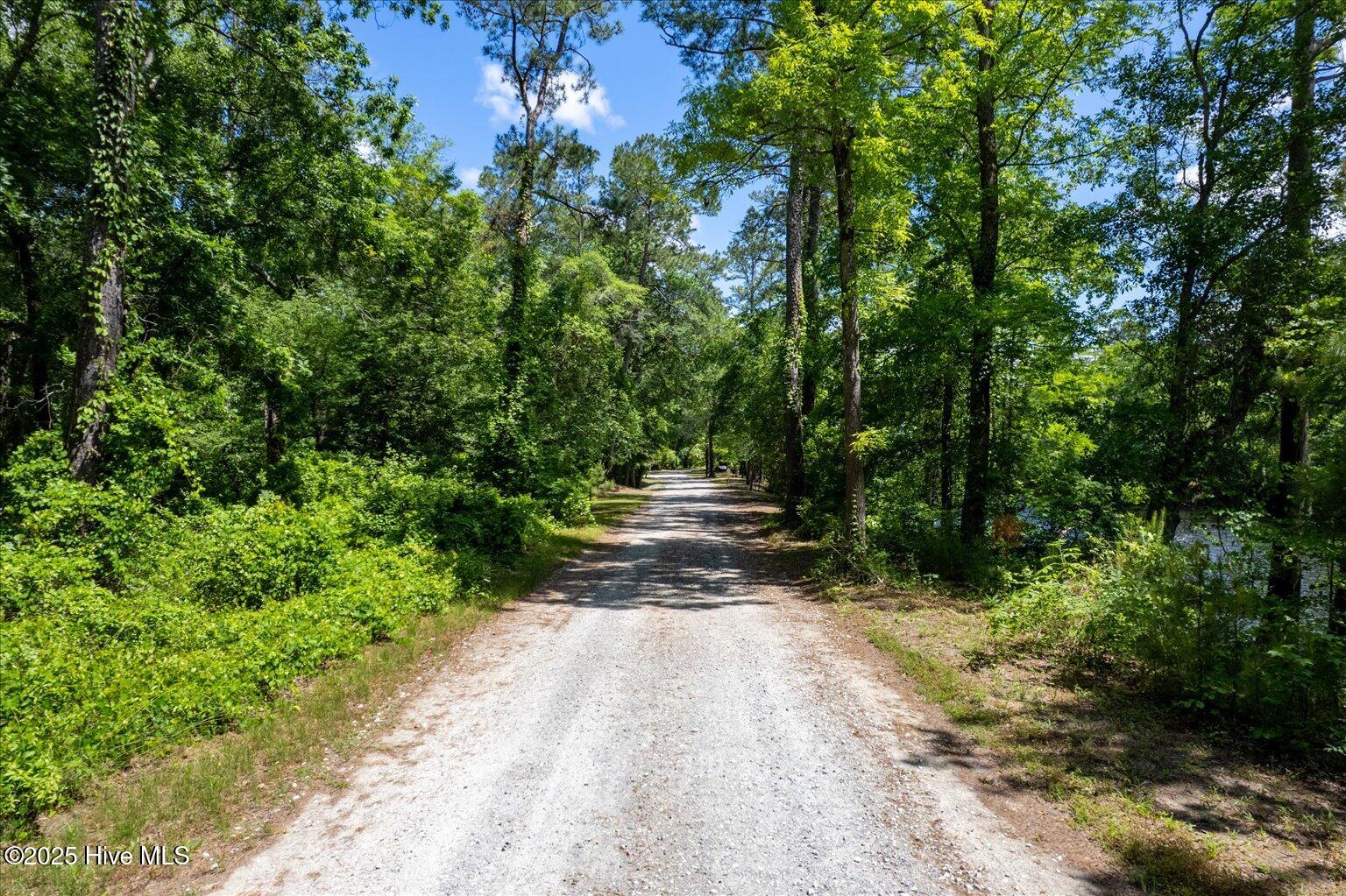Homes for sale in Burgaw, NC | 0 Riverview Dr, Burgaw, NC 28425 | MLS# 100505655