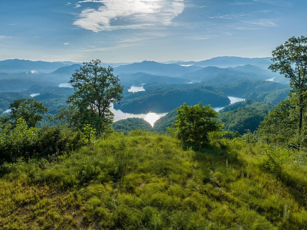 000 Highway 19, Almond, North Carolina, 0 ,For sale,Highway 19,98524301