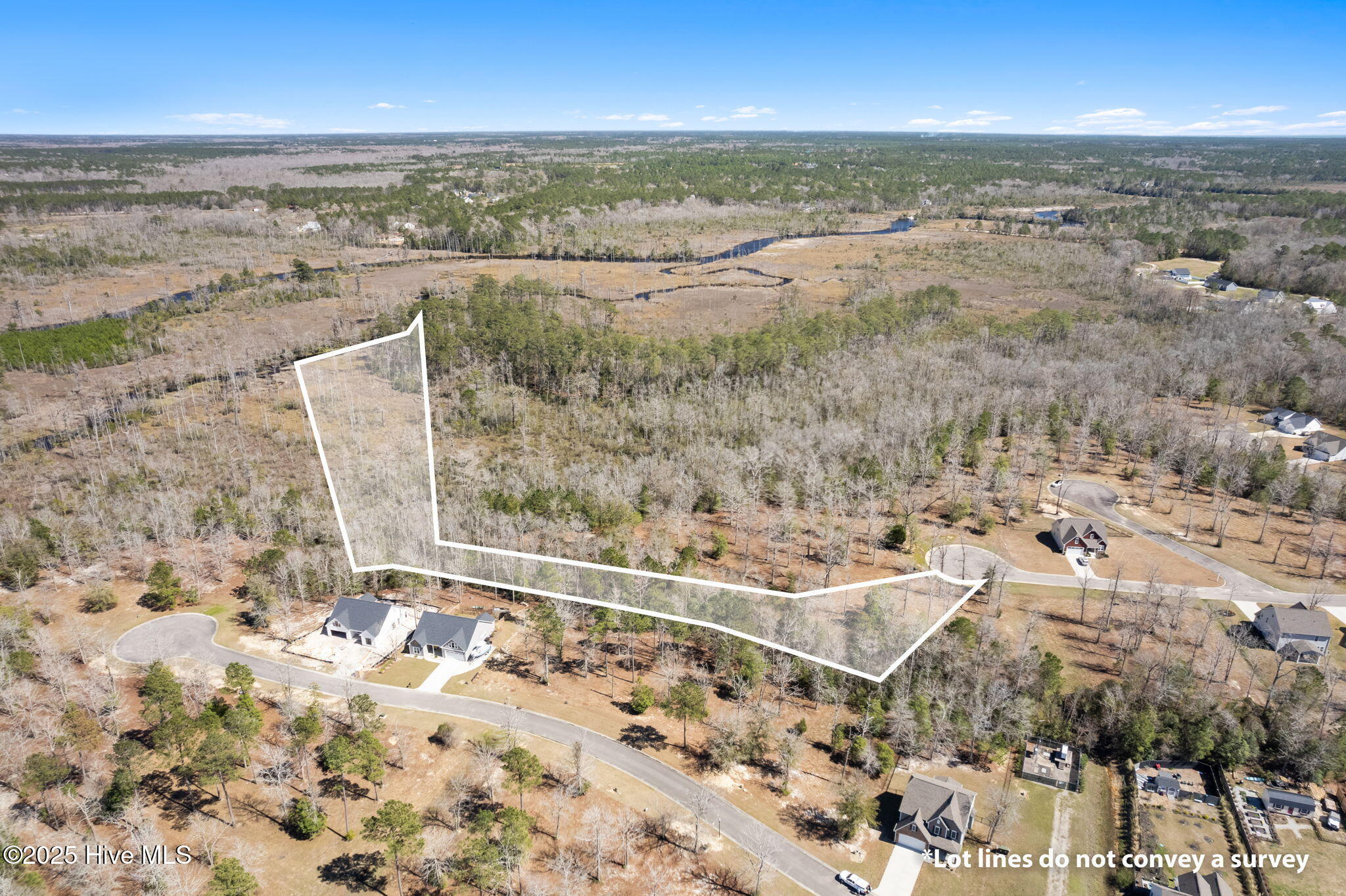 100546353 | Photo 12