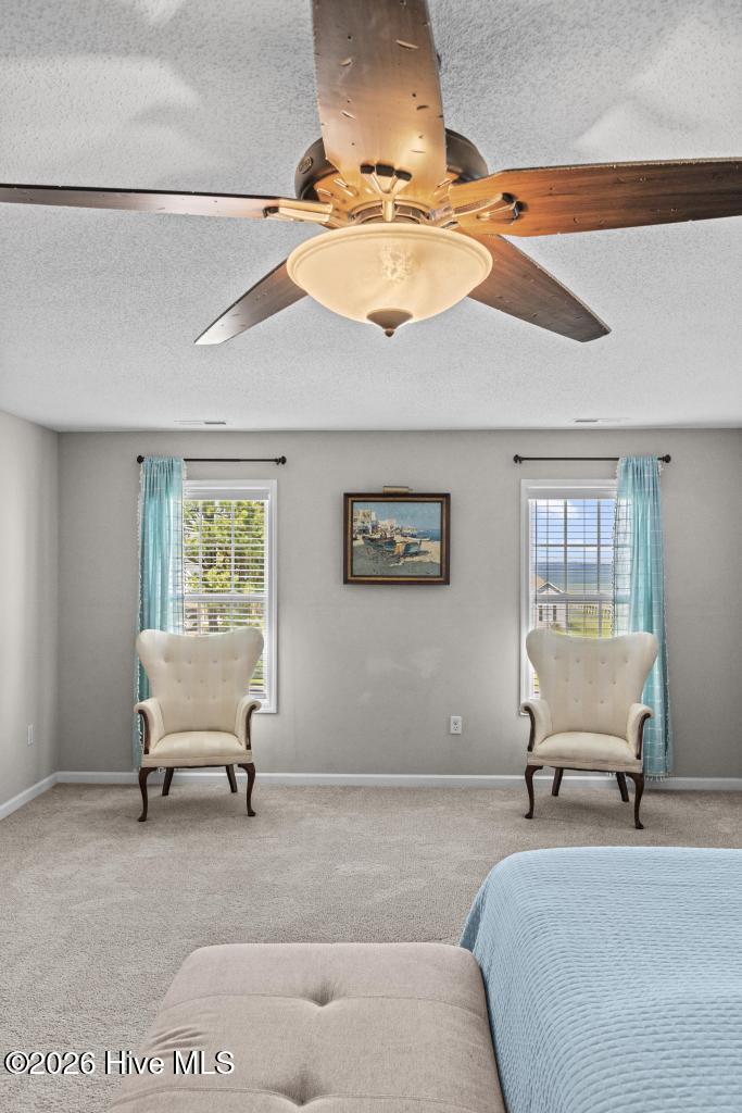 100564951 | Photo 34