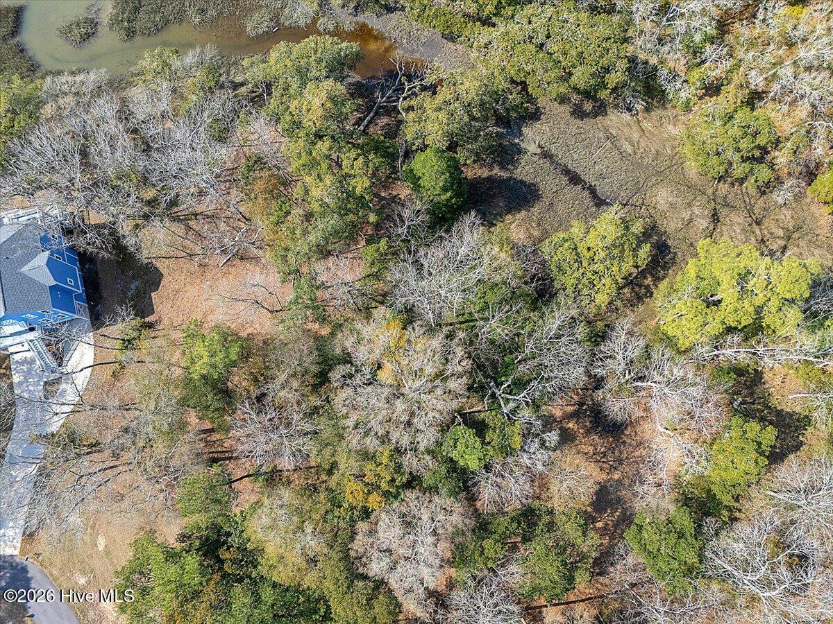 100560630 | Photo 15