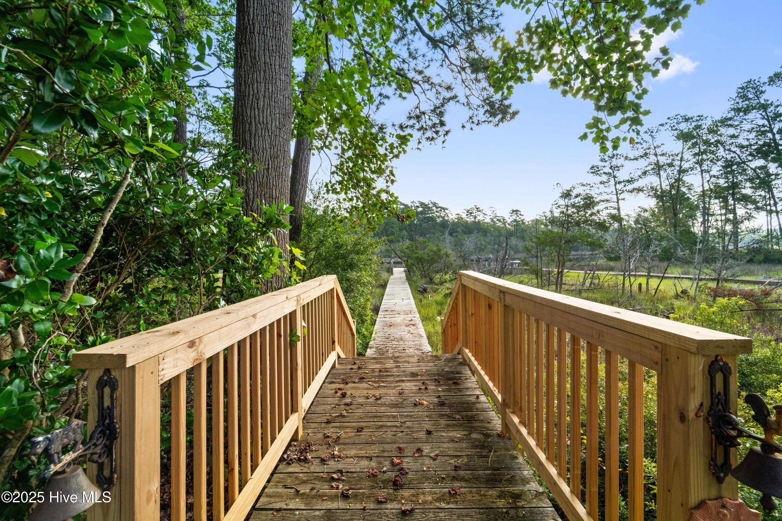 100559136 | Photo 27