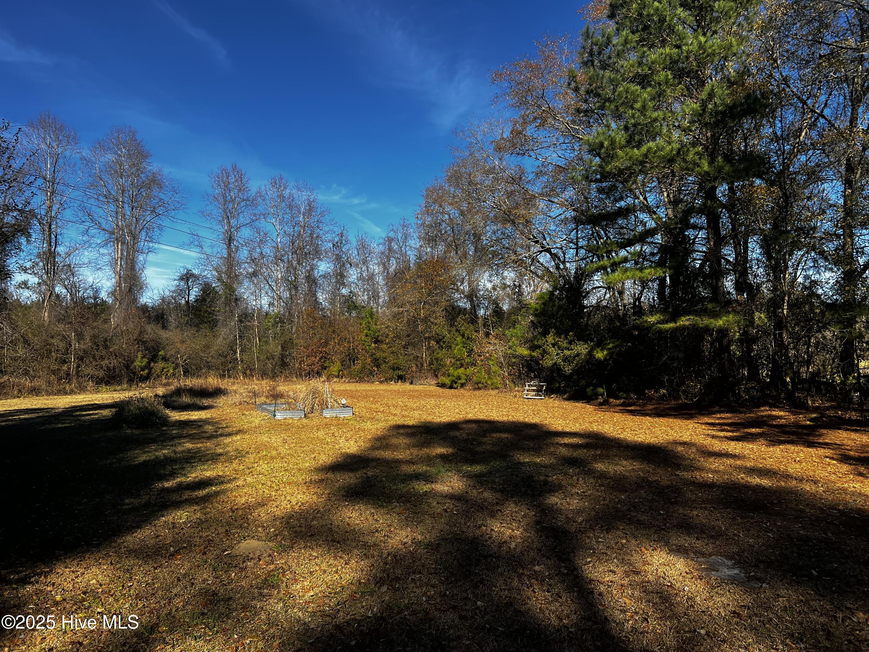 100546652 | Photo 44