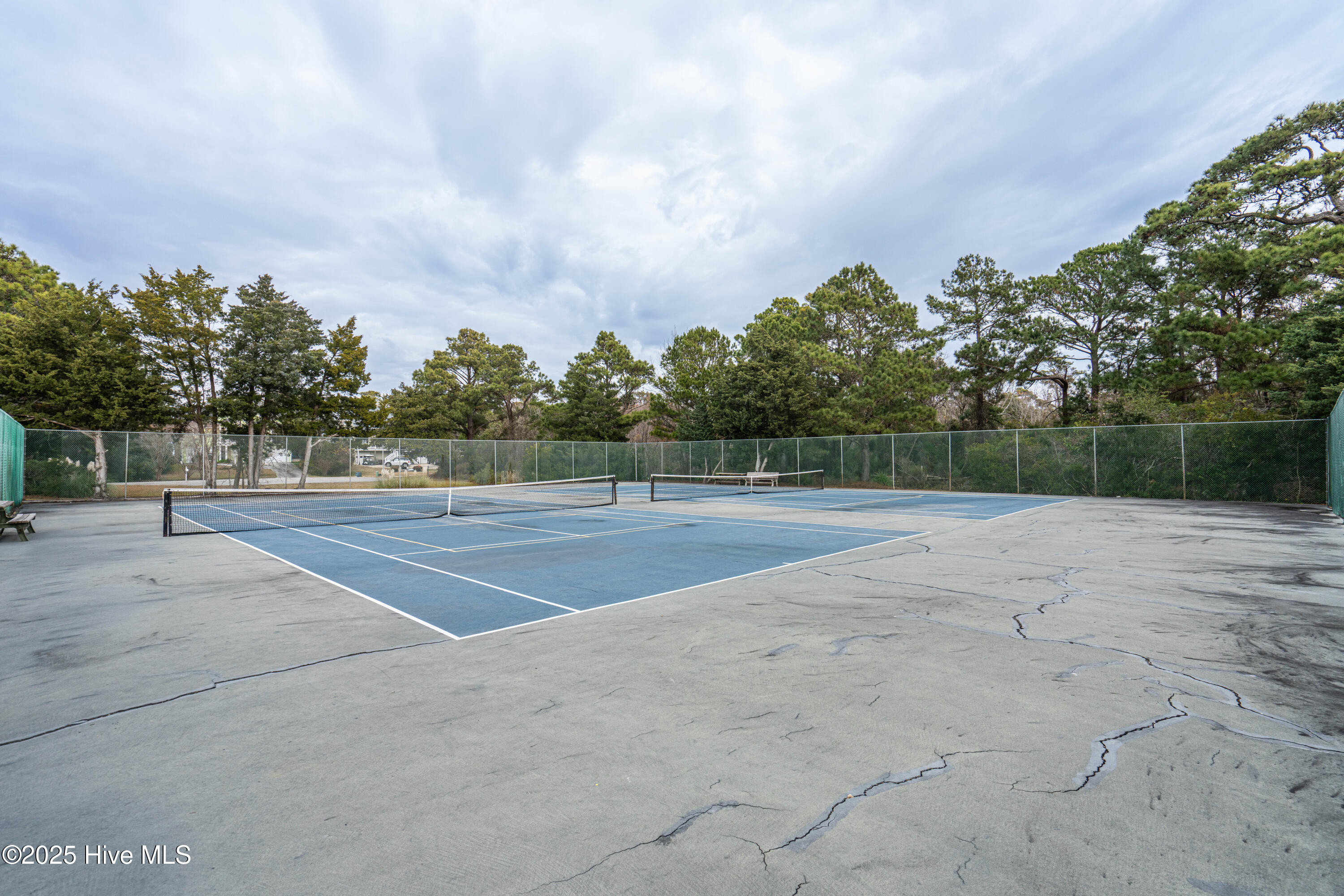 100546381 | Photo 32