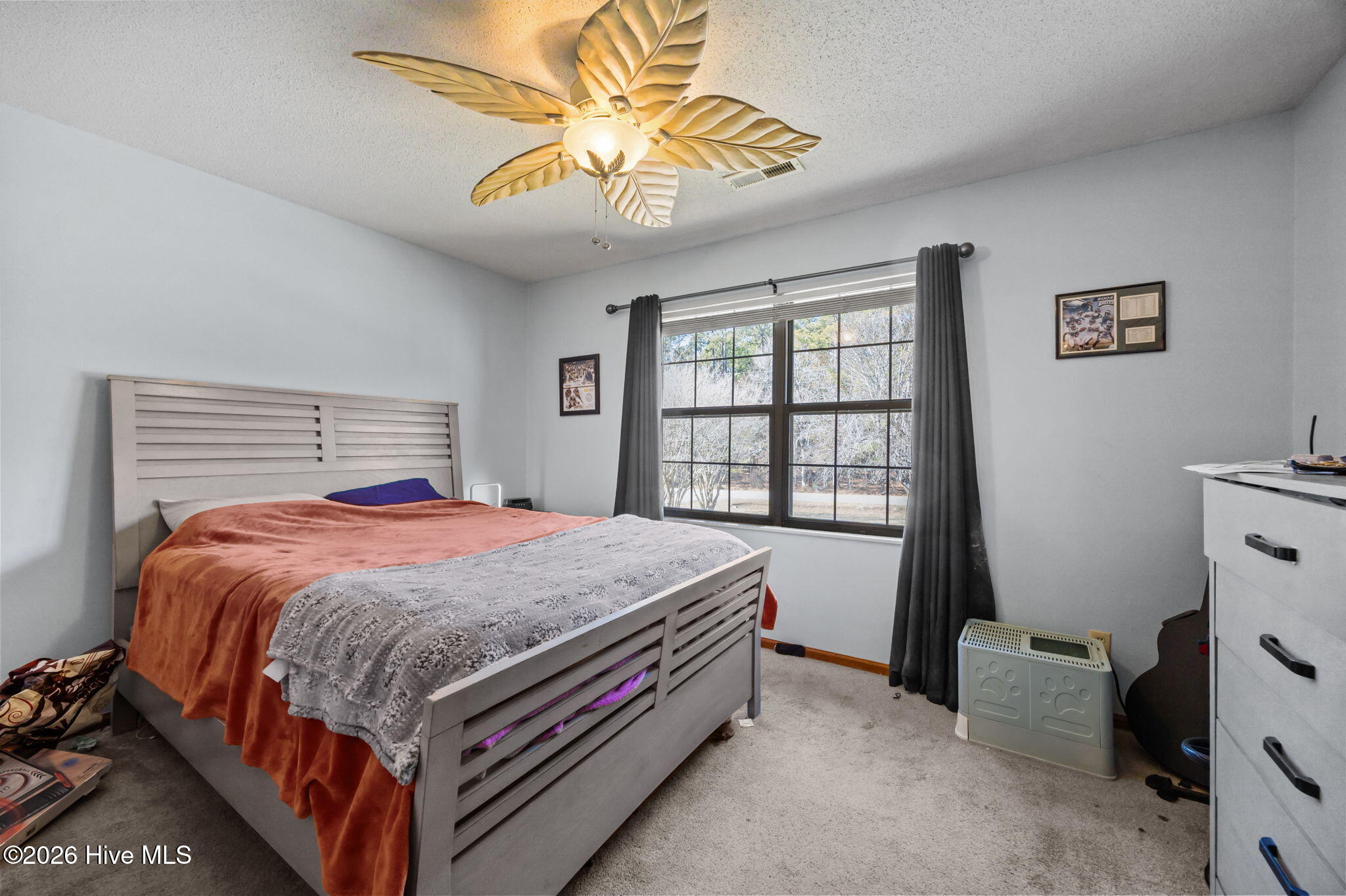 100554943 | Photo 12