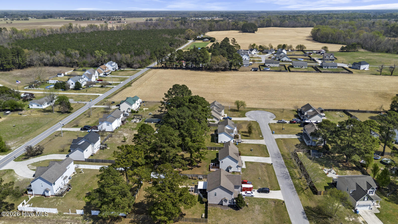 100564296 | Photo 40