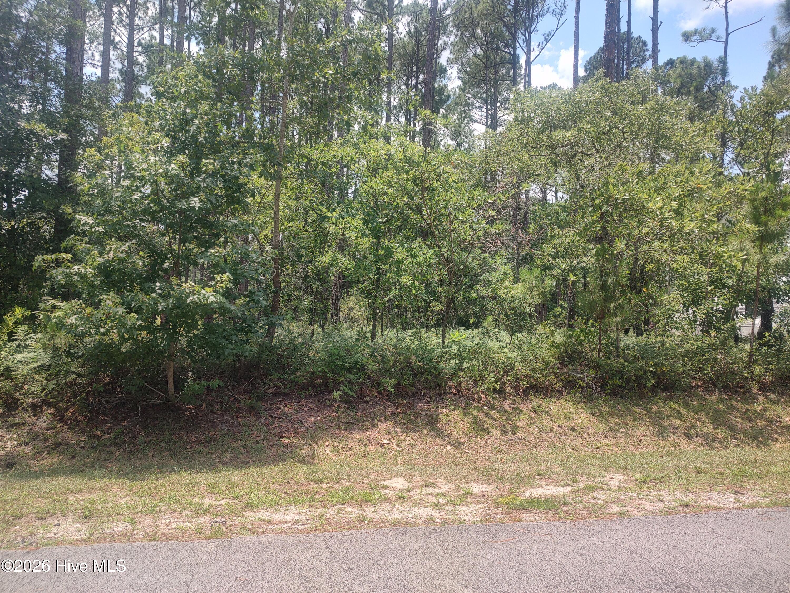 906 Bee Tree Court,New Bern