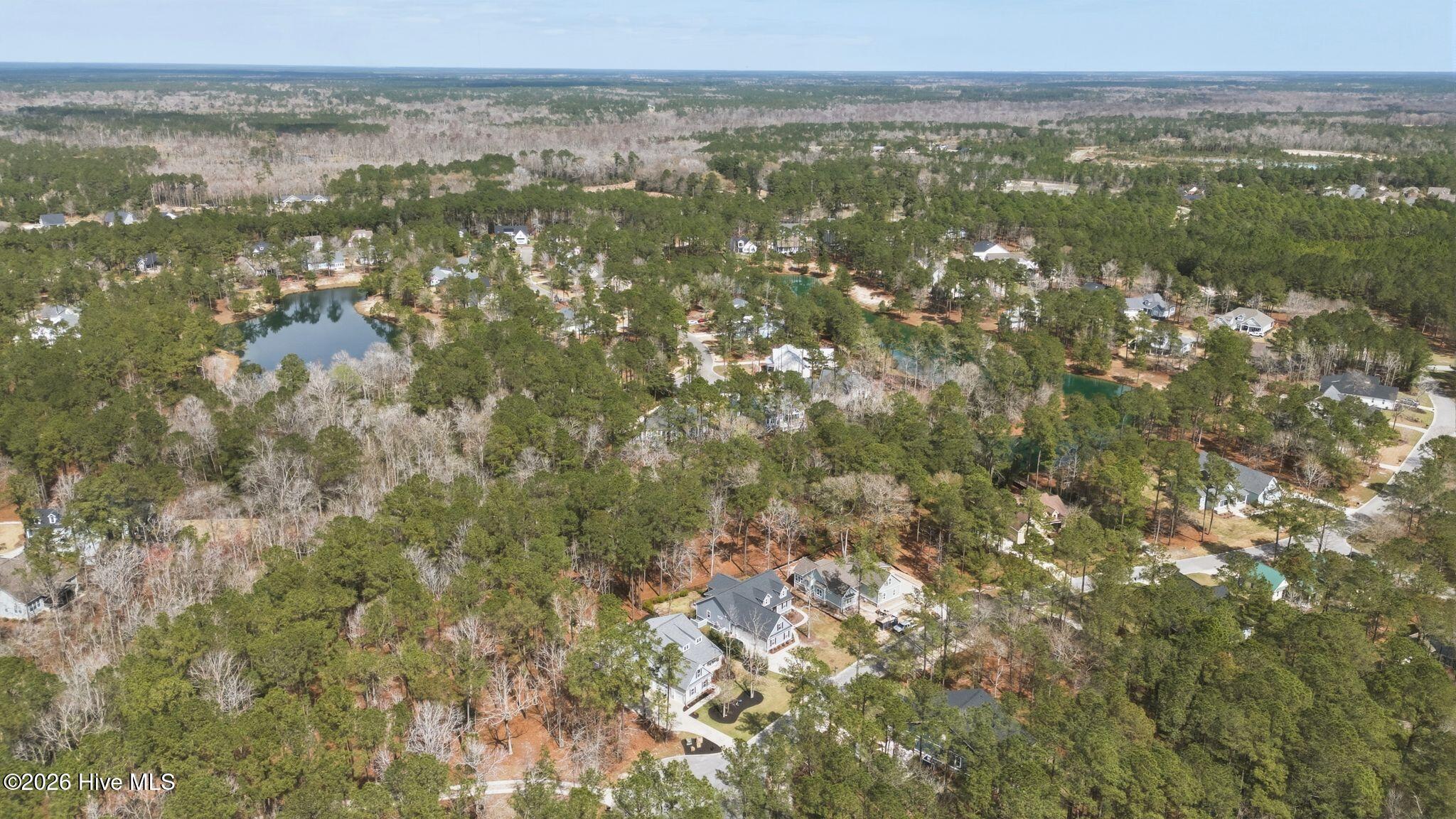 100560702 | Photo 79