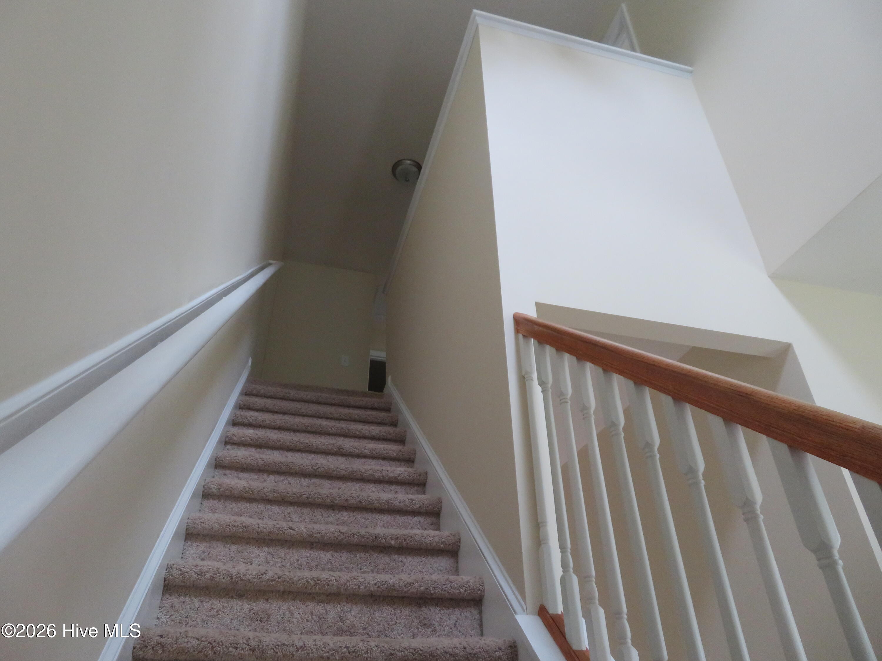 100554351 | Photo 17