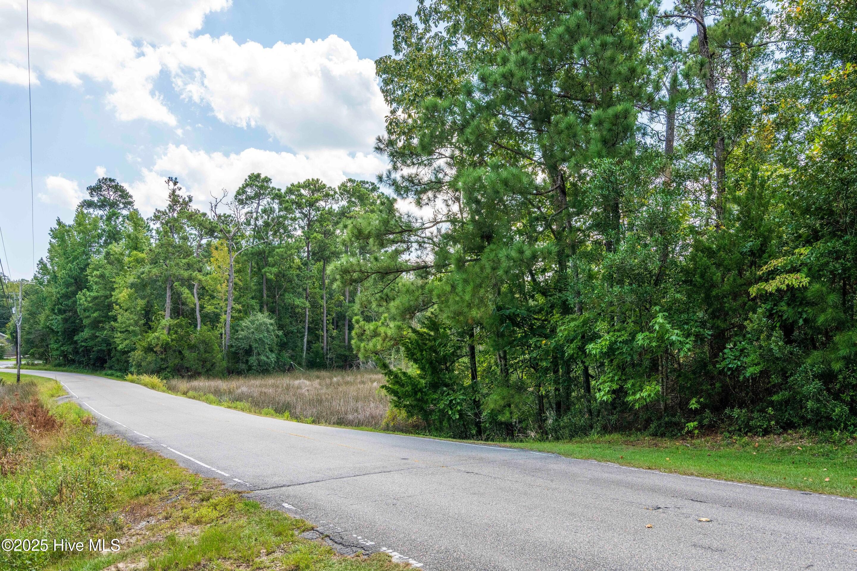 100528995 | Photo 19