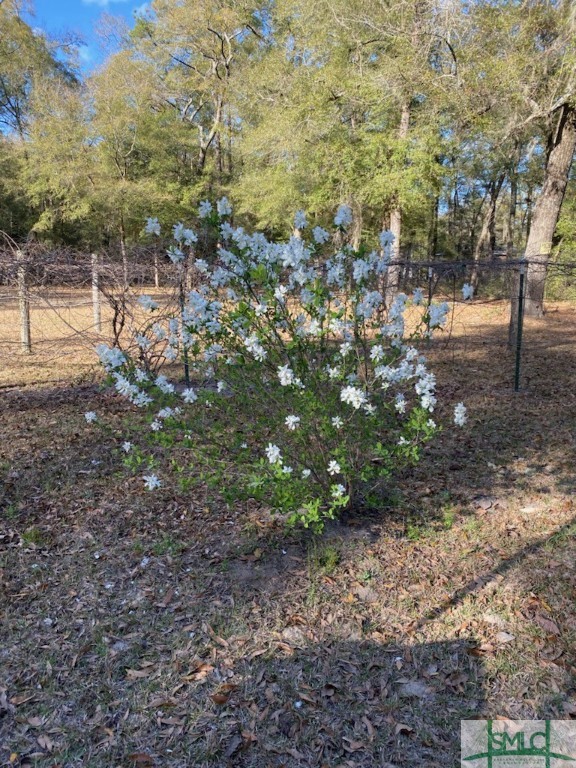 1165 Chimney Road, Rincon, GA, 31326