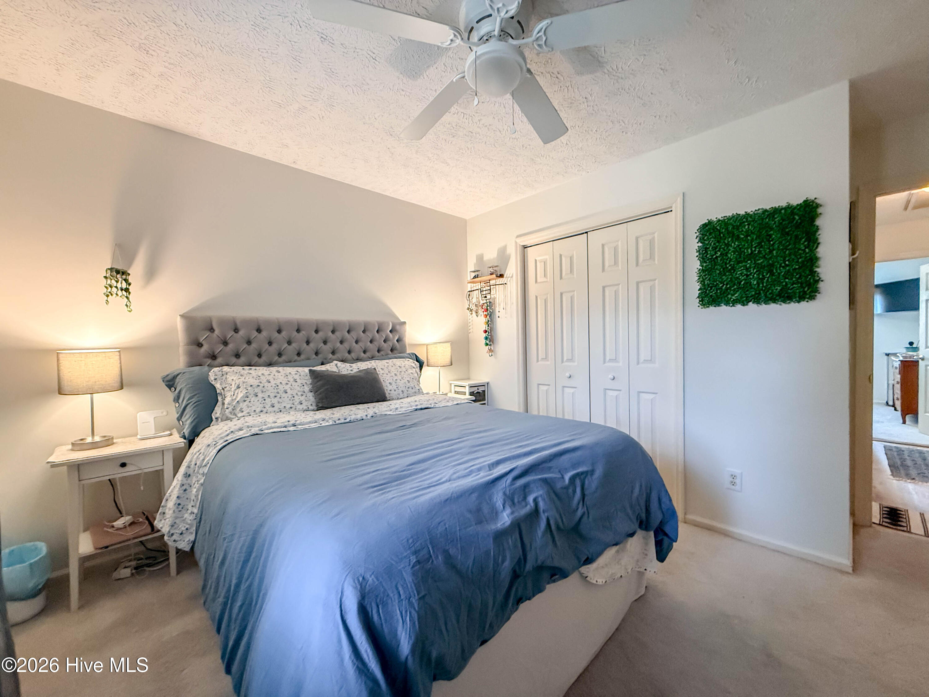 100556502 | Photo 23