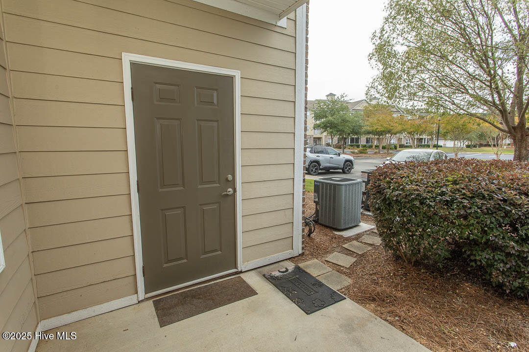 100532415 | Photo 38