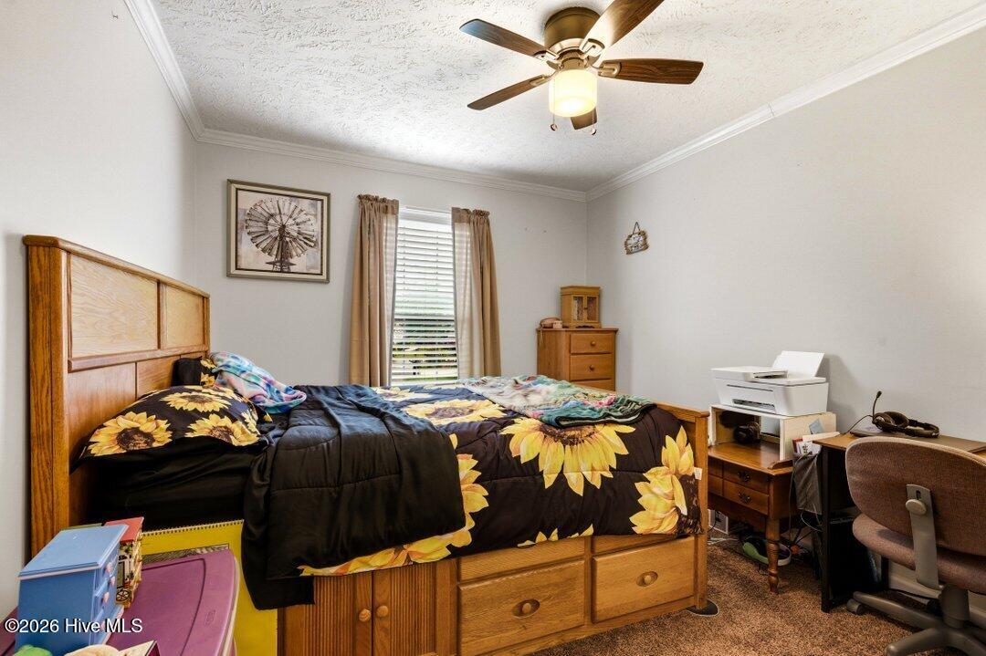 100566216 | Photo 23