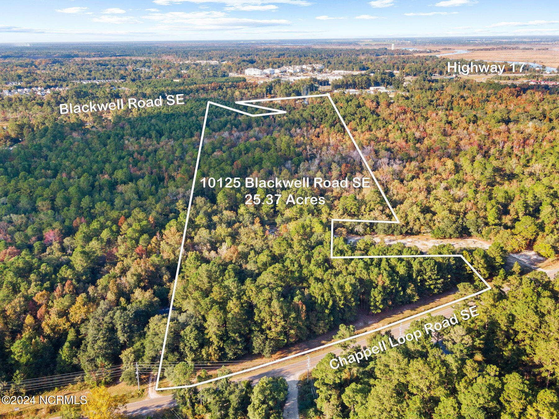 100474459 | Photo 12