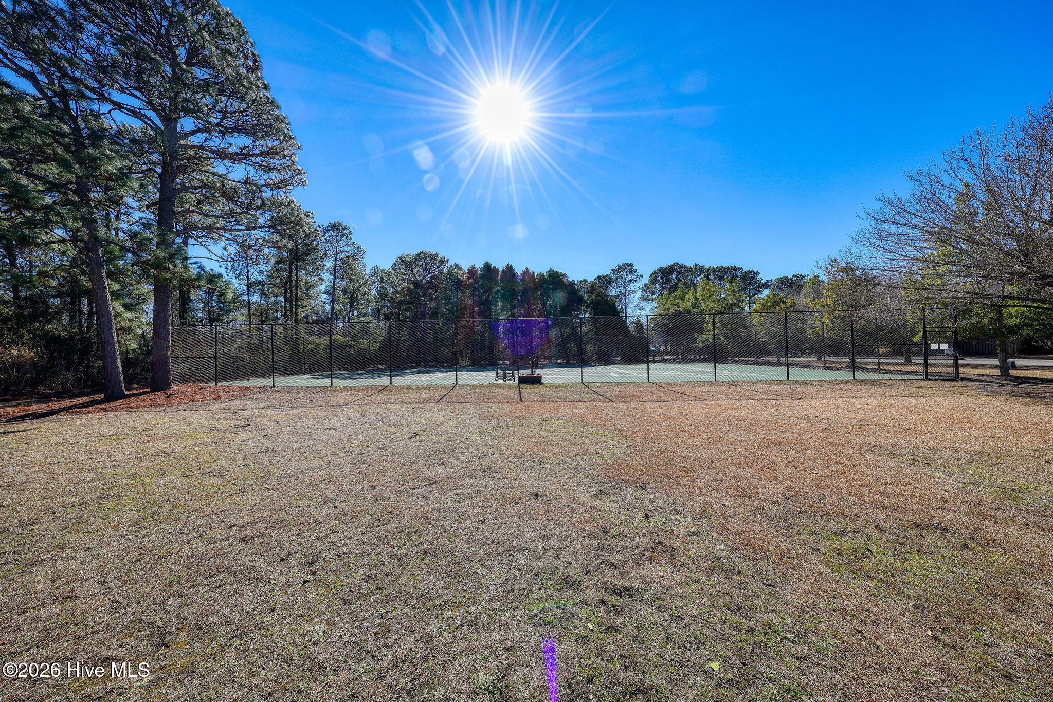 100554180 | Photo 53