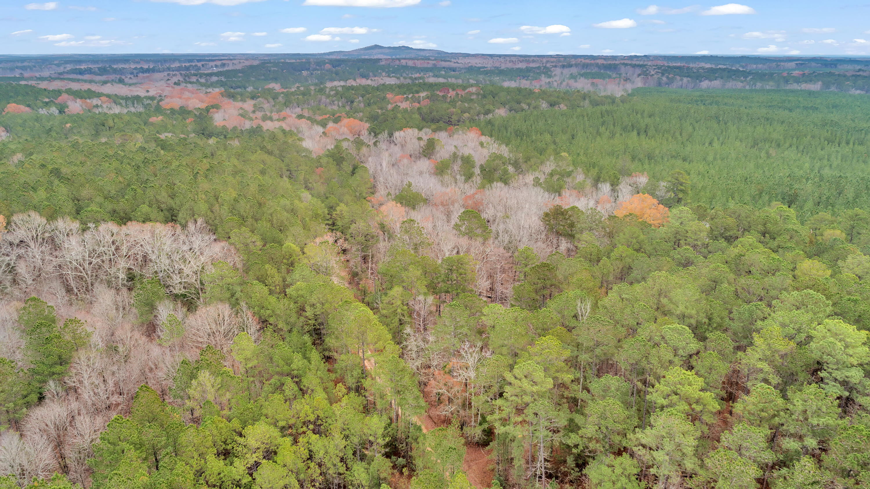 Saggus Rd land 121-007A, 200ft View, Dro