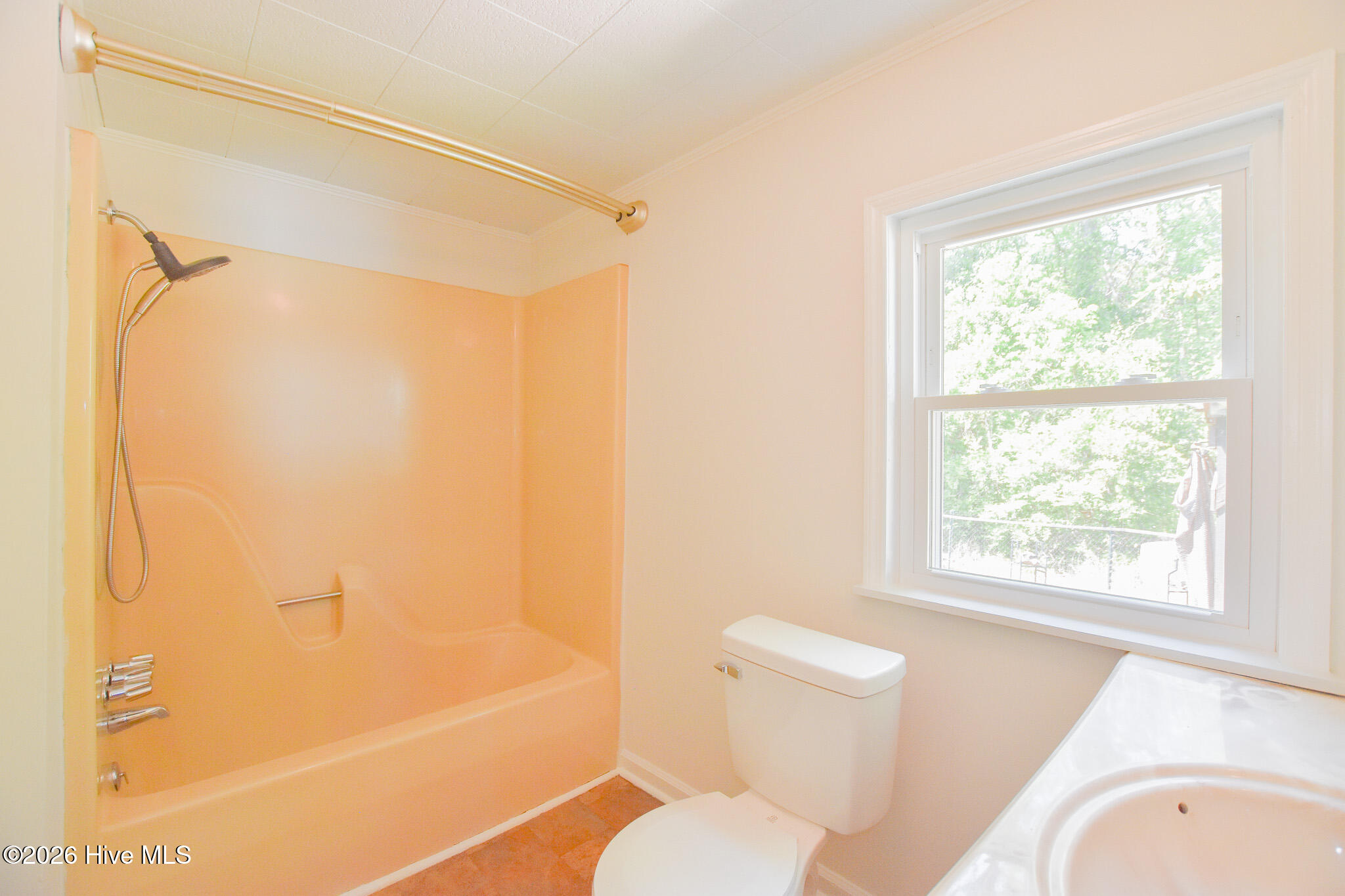 100568599 | Photo 14