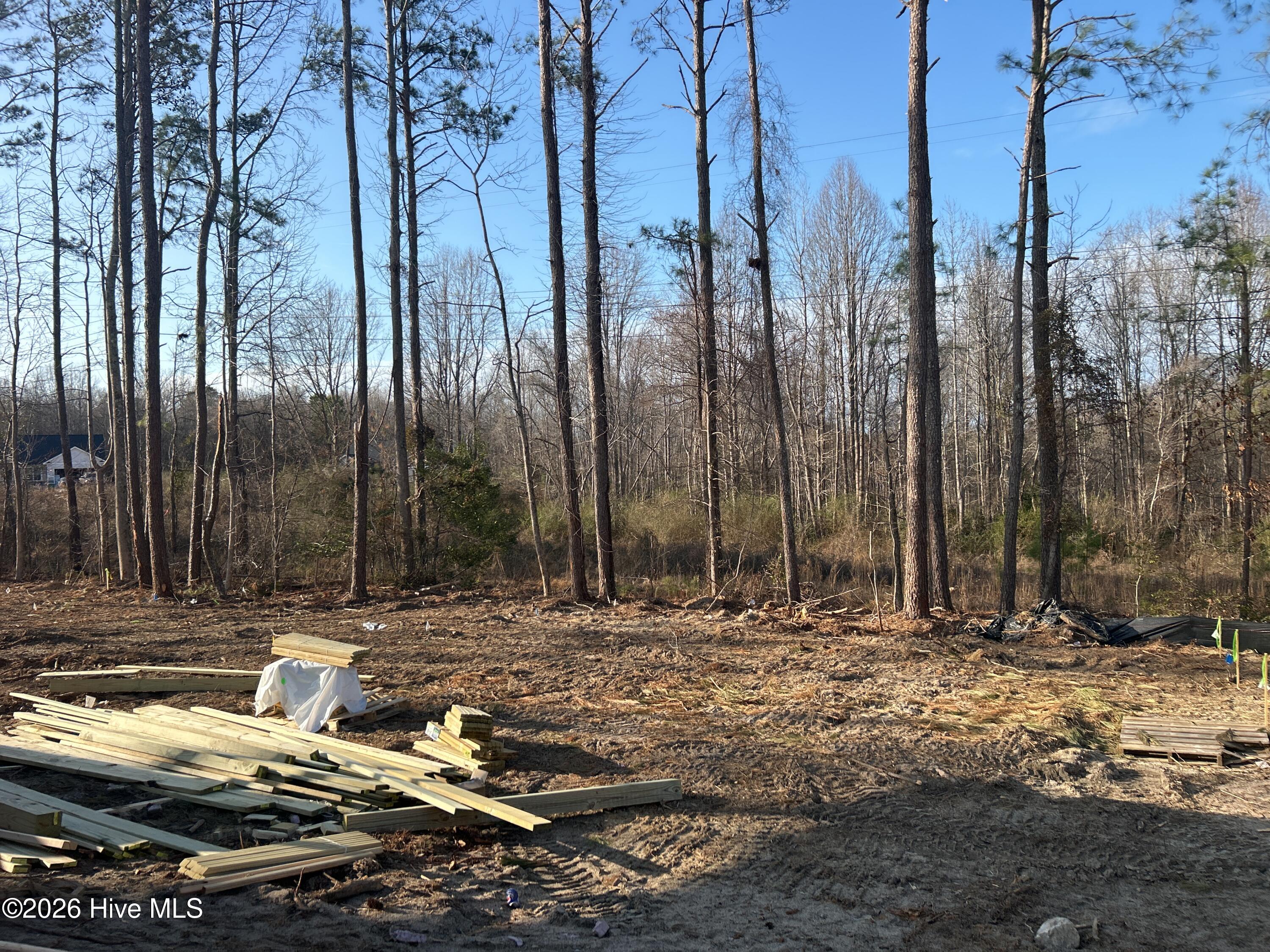 1755 Pecan Drive UNIT lot 20, Nashville, NC, 27856 1755 Pecan Drive UNIT lot 20, Nashville, NC, 27856