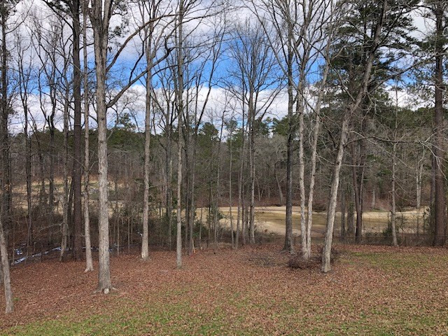 3050 Surrey Road, Thomson, GA 30824 Listing Photo  44