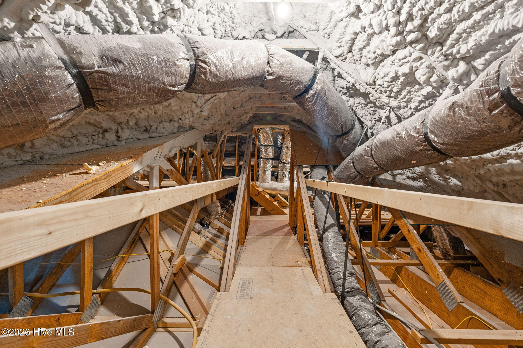 100564943 | Photo 45